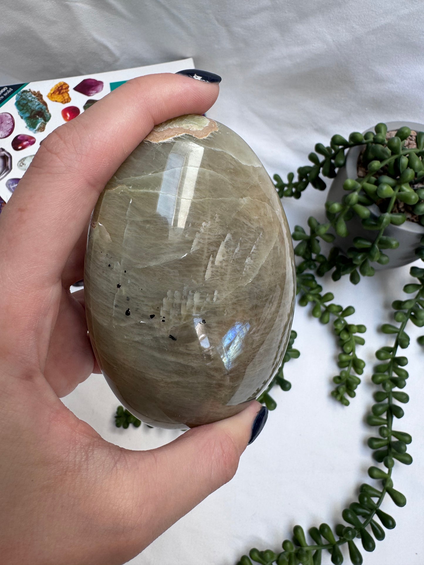 Green Moonstone (Garnierite) Freeform