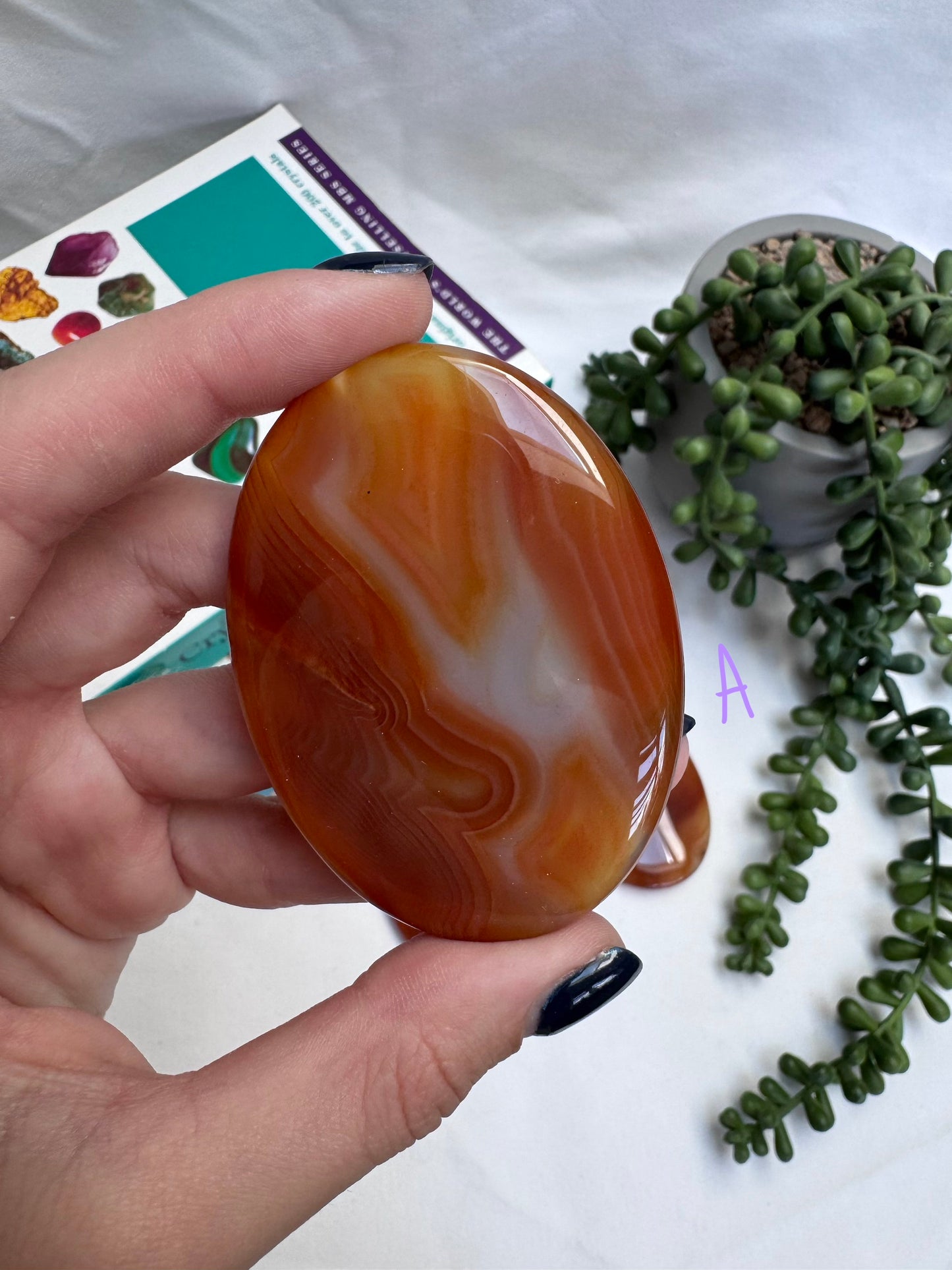Large Carnelian Palmstones