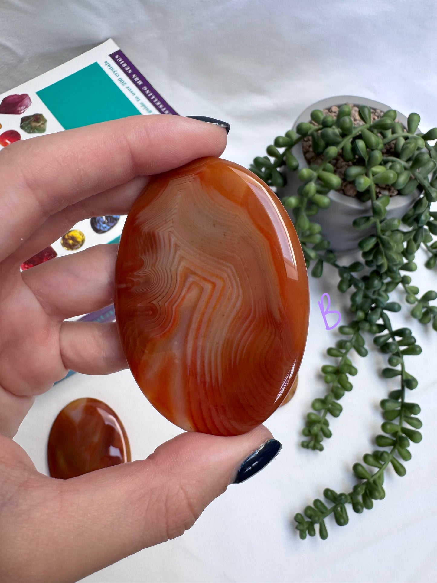 Large Carnelian Palmstones