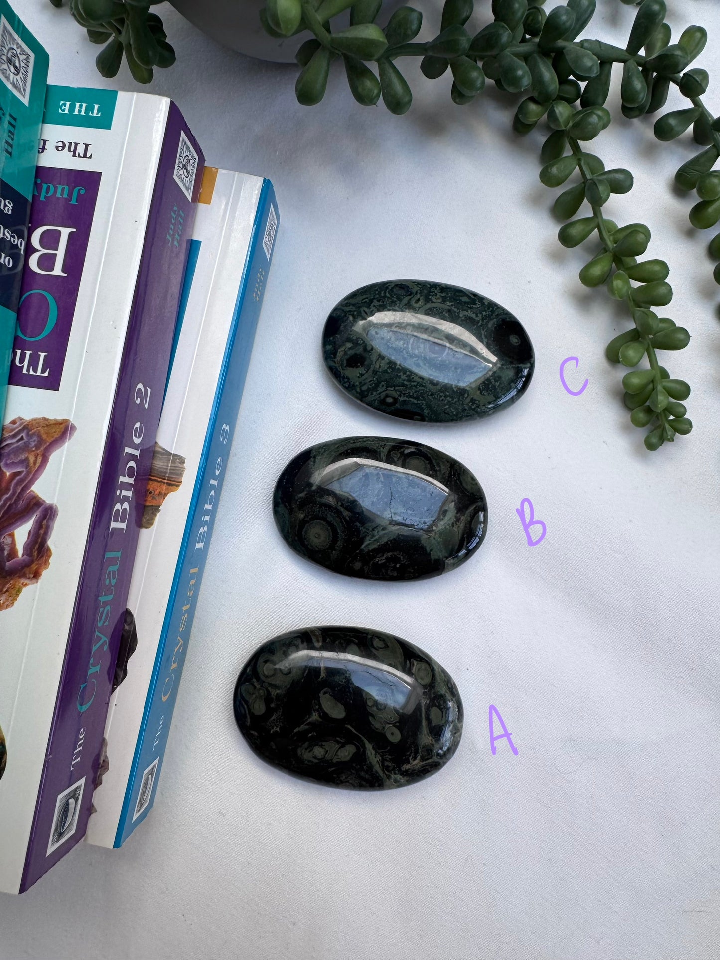 Large Kambaba Jasper Palmstones