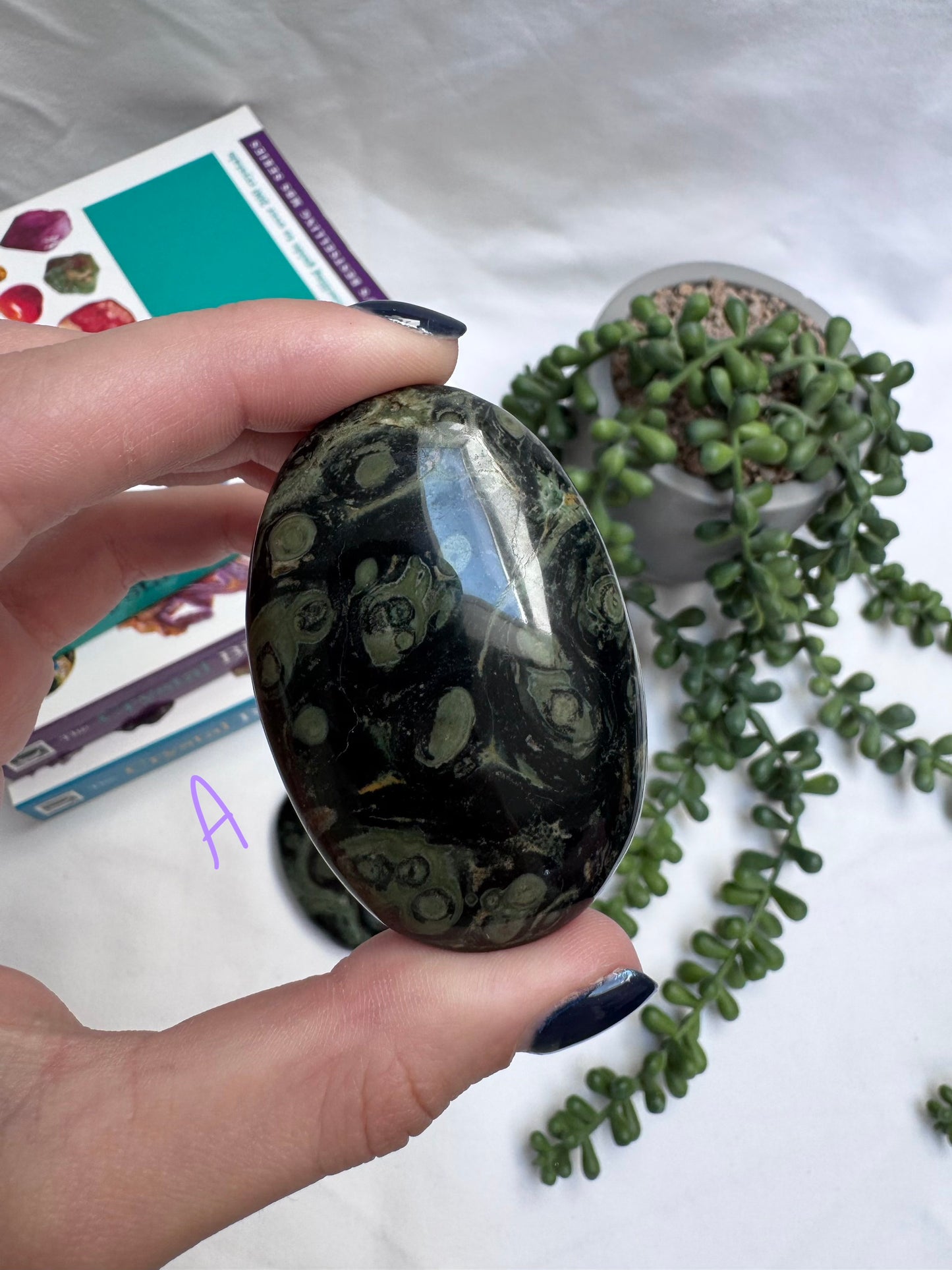 Large Kambaba Jasper Palmstones