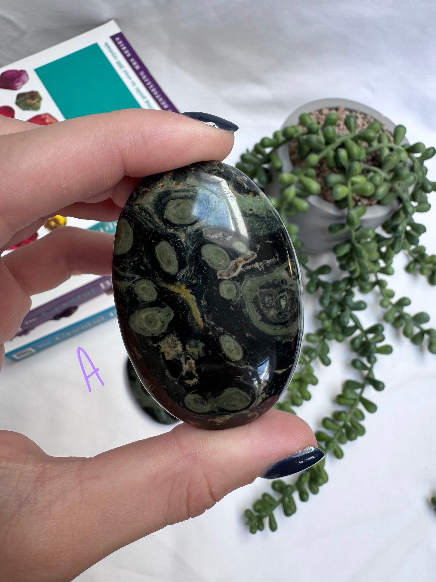 Large Kambaba Jasper Palmstones