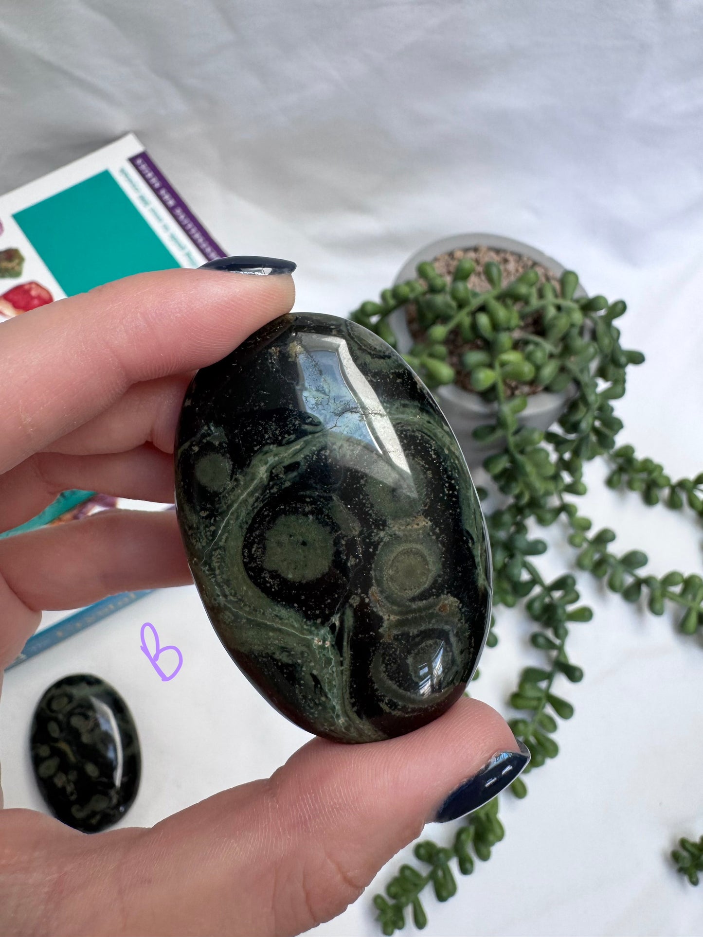 Large Kambaba Jasper Palmstones