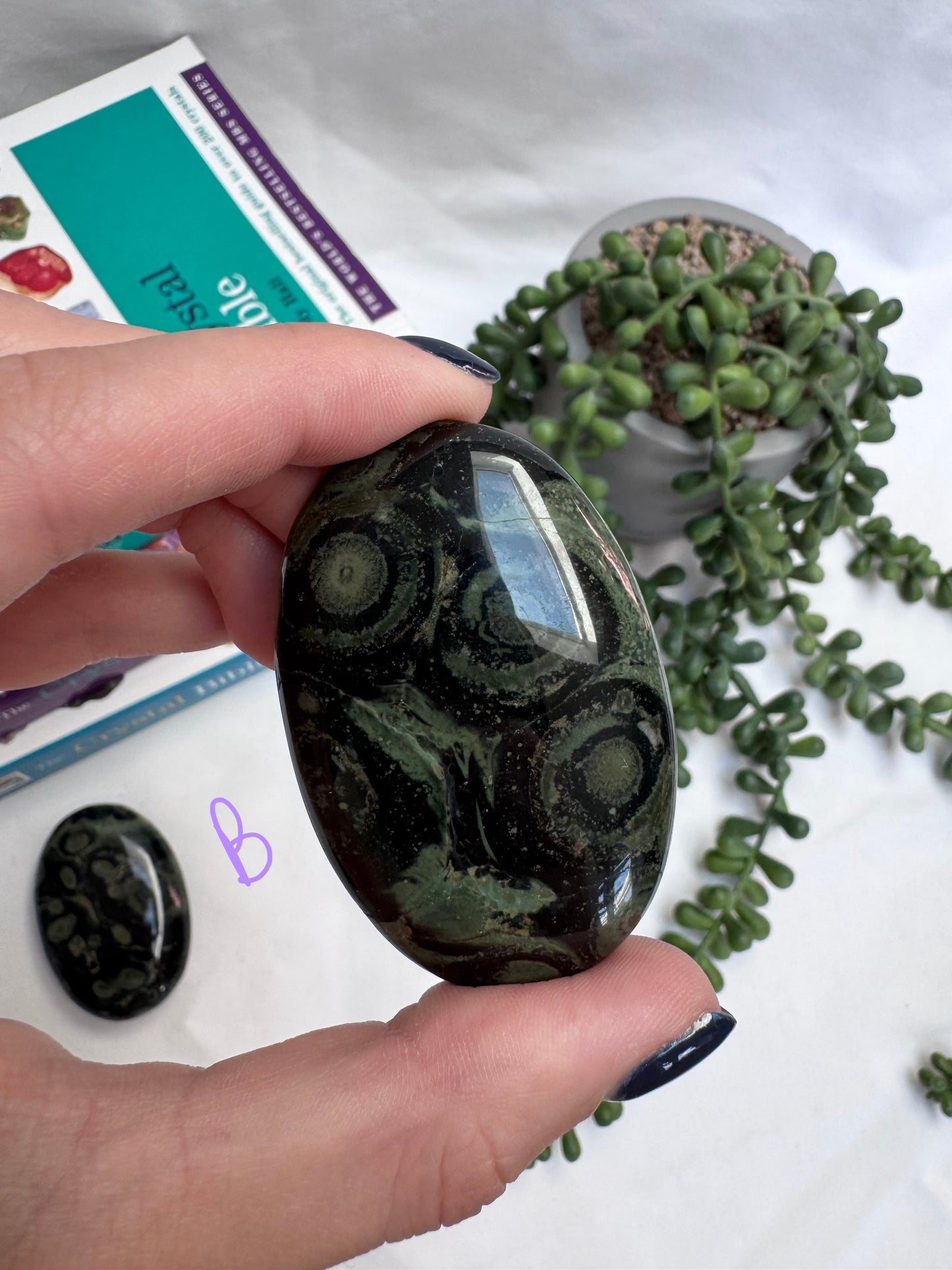 Large Kambaba Jasper Palmstones