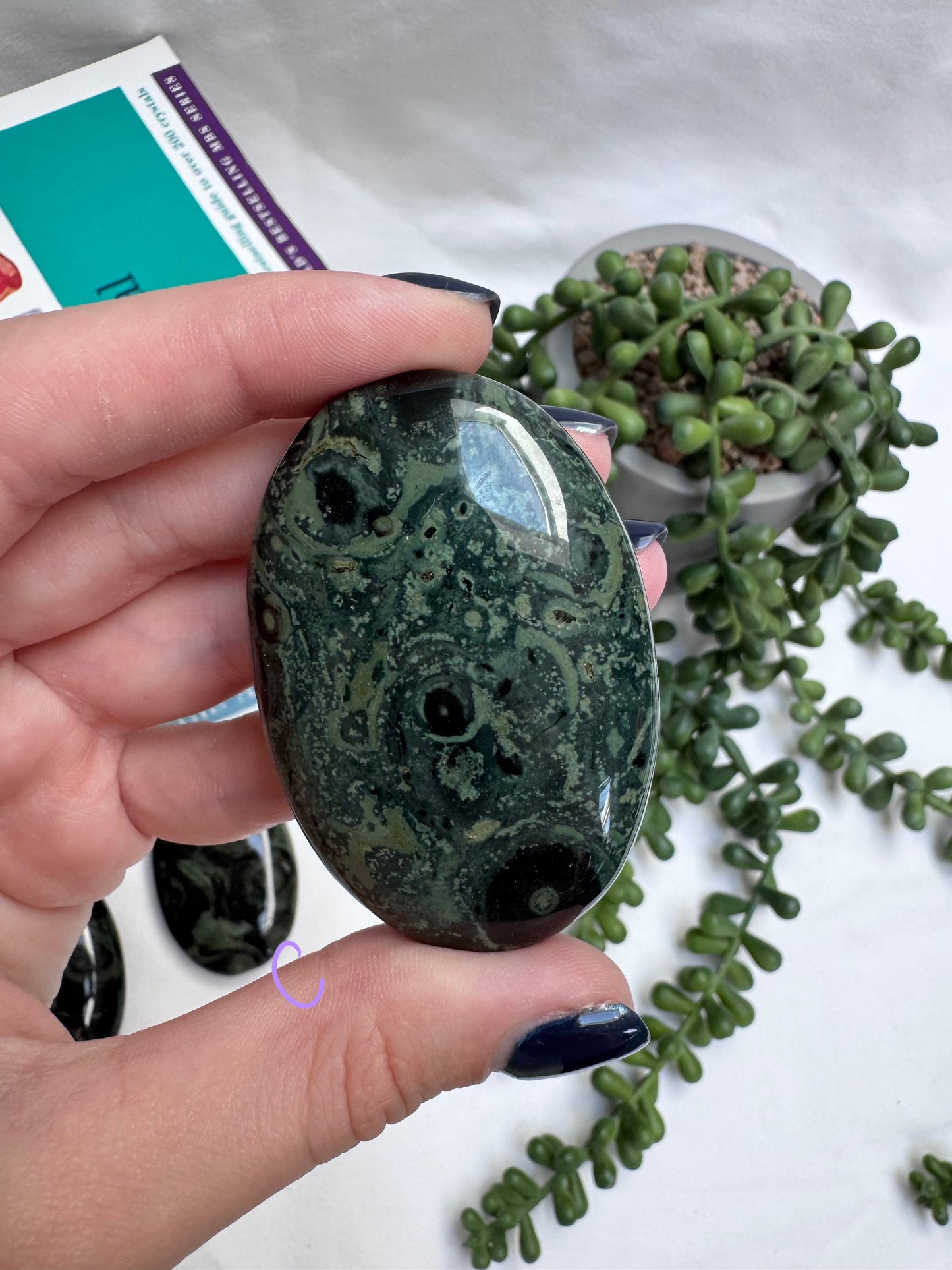 Large Kambaba Jasper Palmstones
