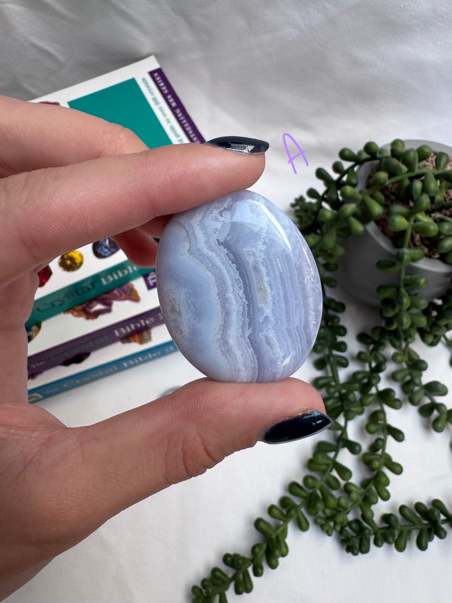 Blue Lace Agate A Grade Palmstones