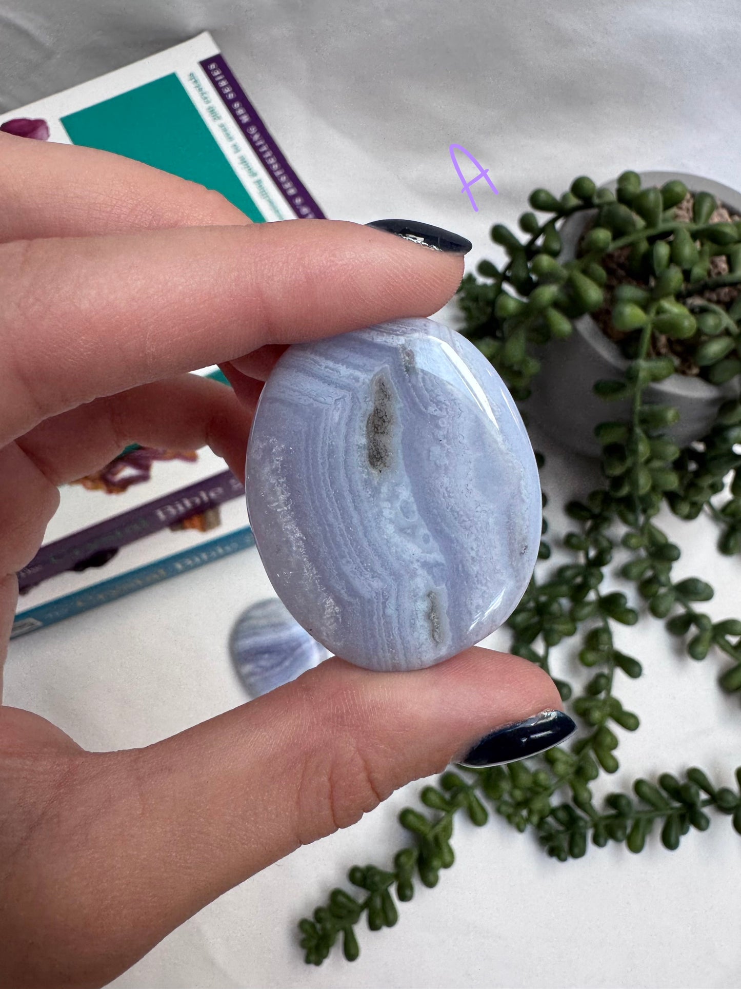 Blue Lace Agate A Grade Palmstones