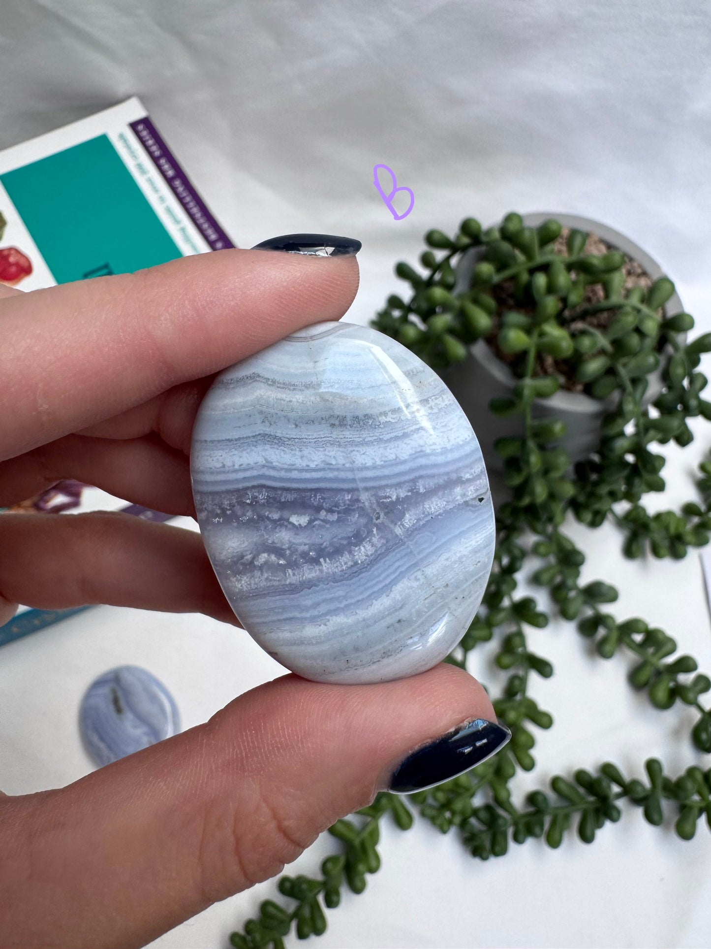 Blue Lace Agate A Grade Palmstones