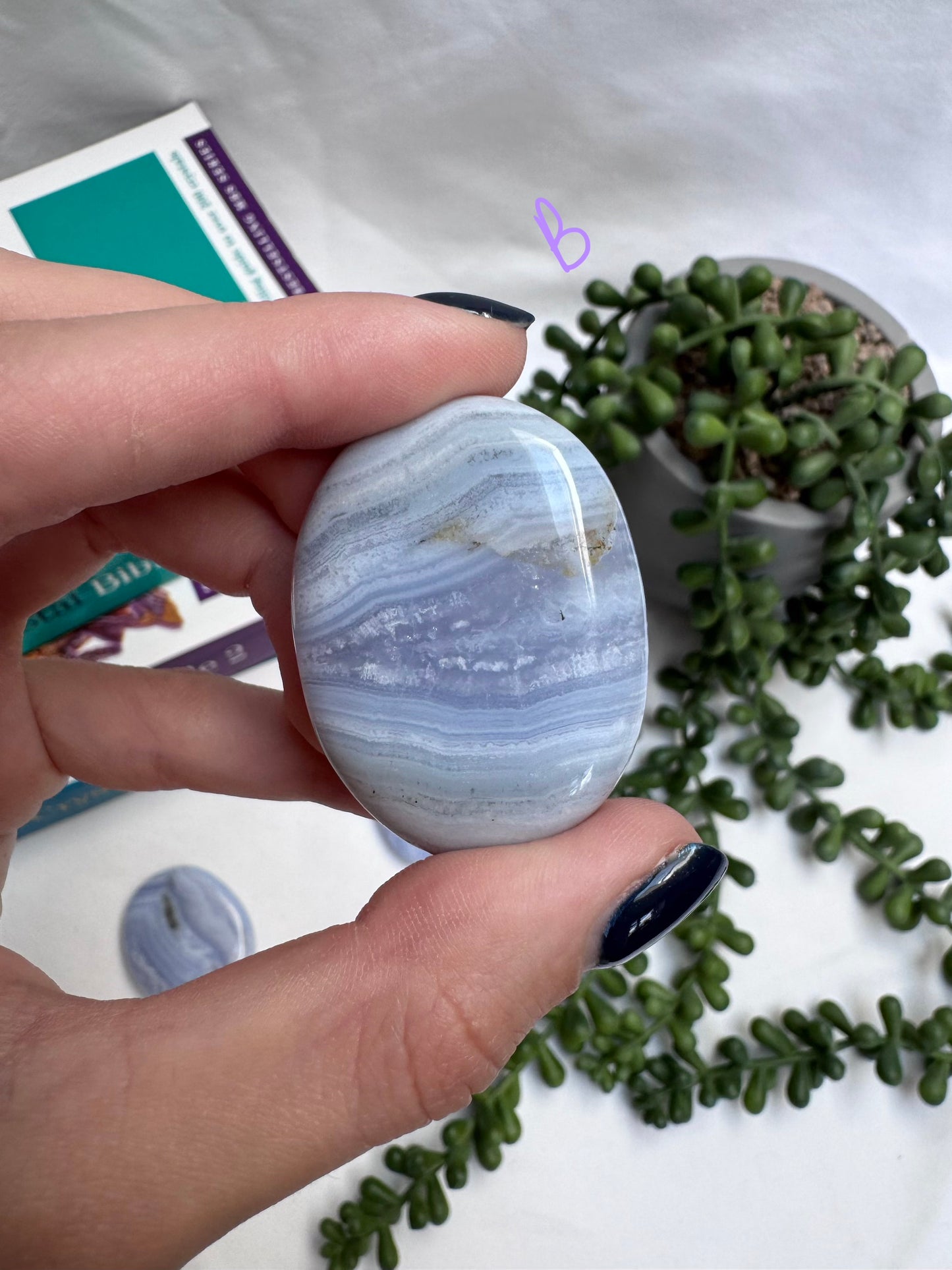 Blue Lace Agate A Grade Palmstones