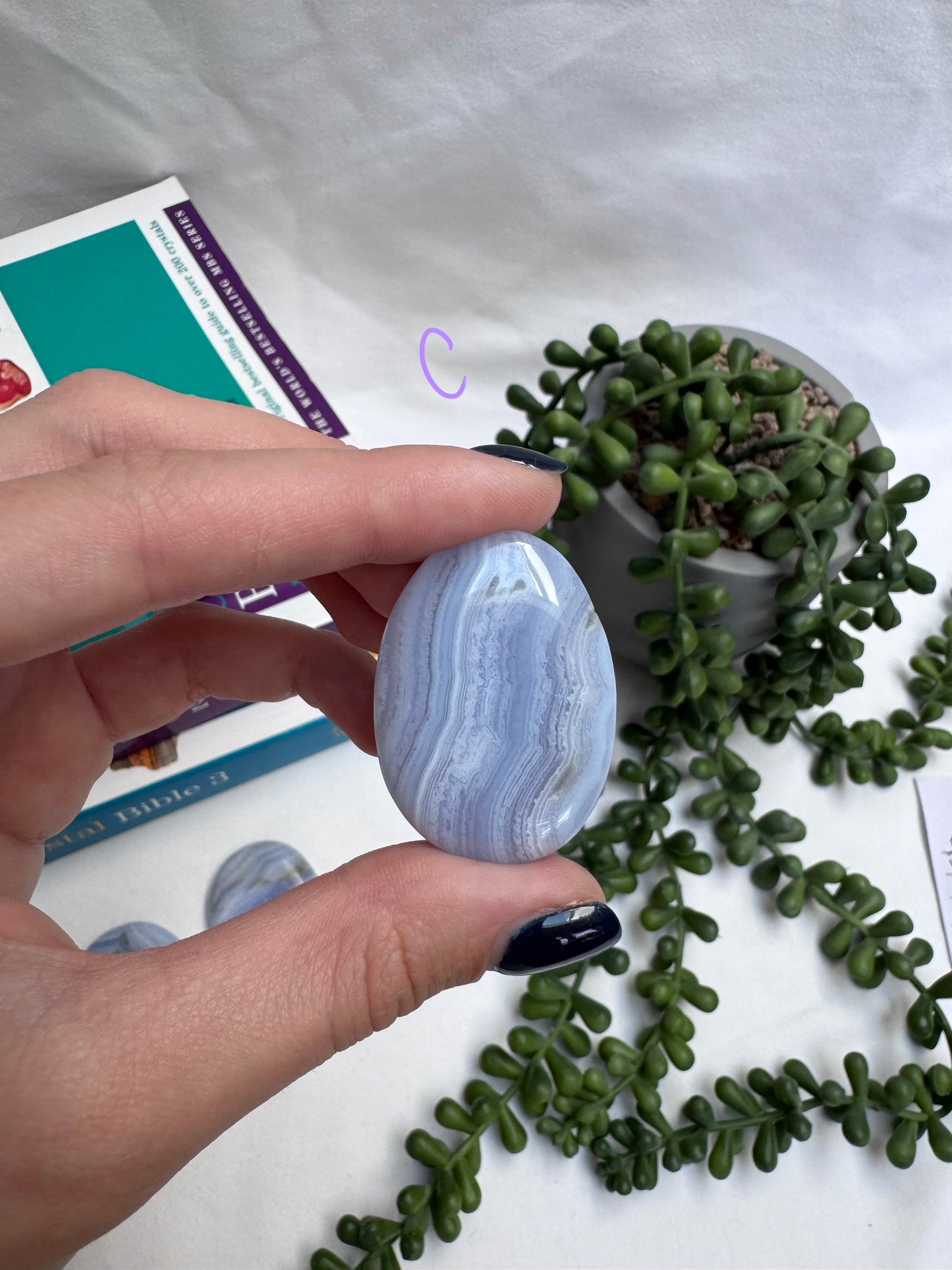 Blue Lace Agate A Grade Palmstones