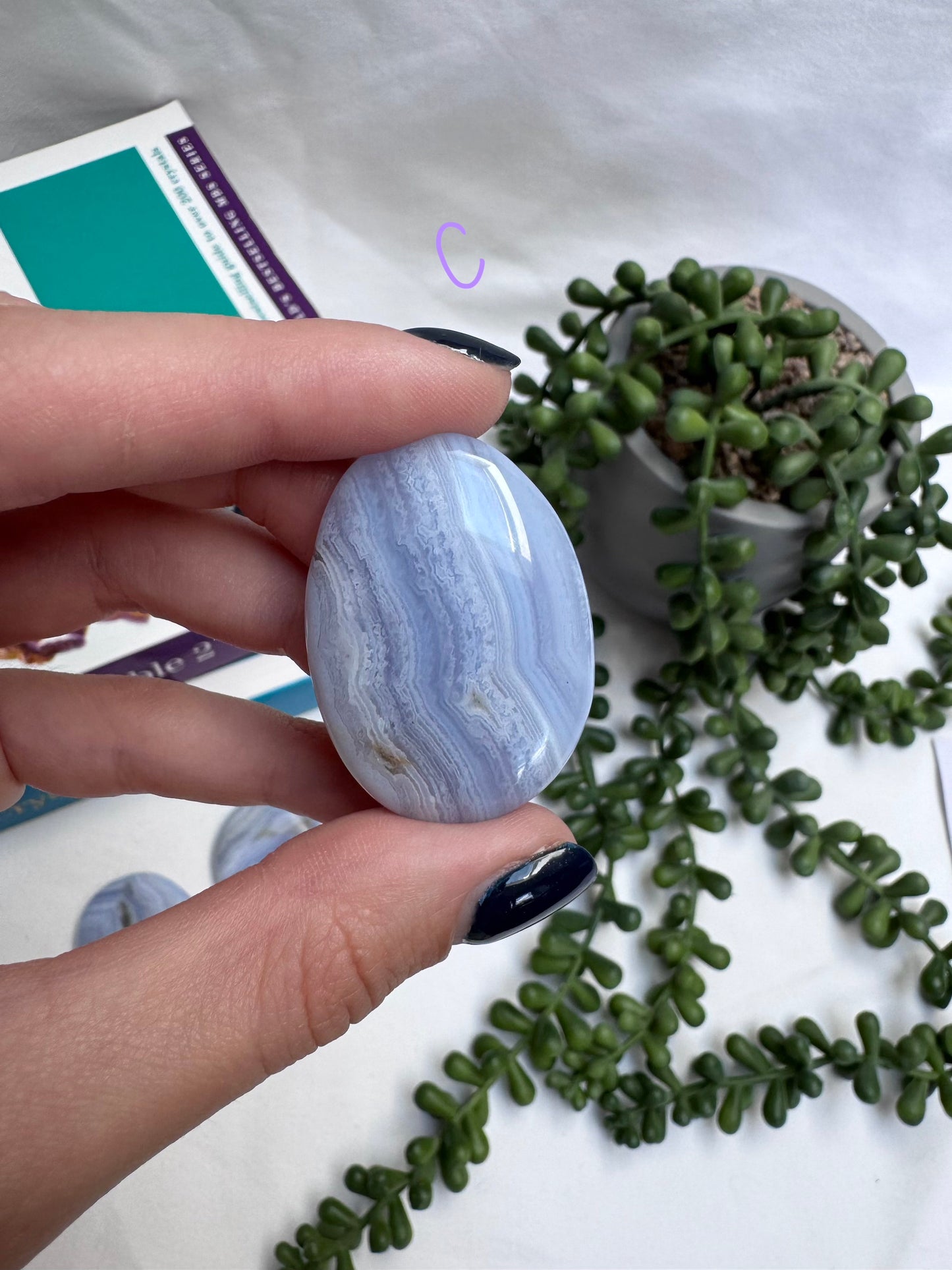 Blue Lace Agate A Grade Palmstones
