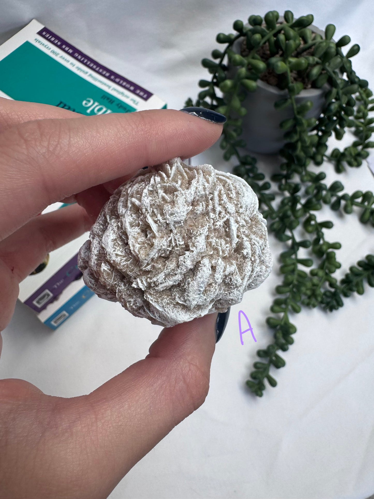 Desert Rose Selenite