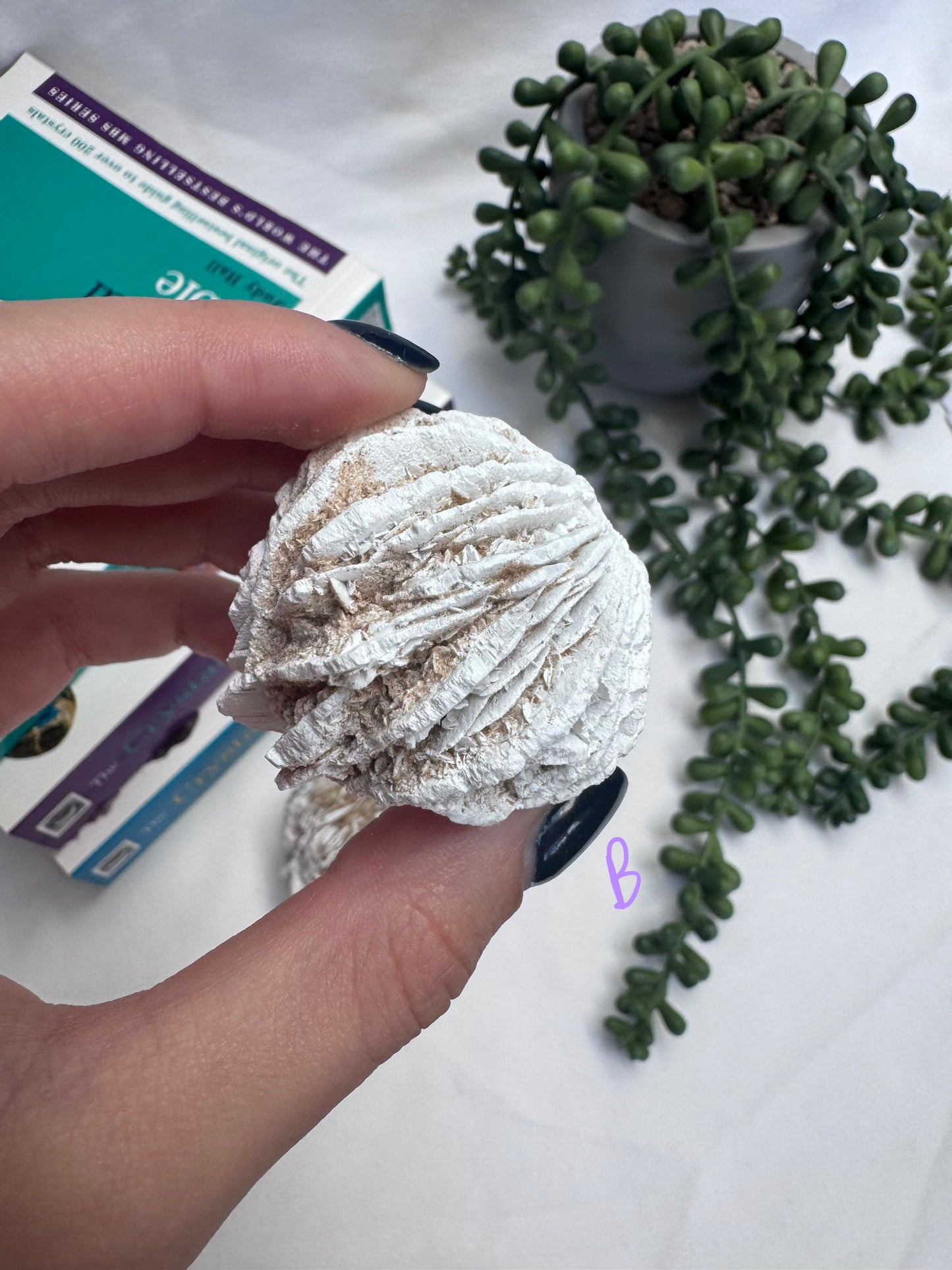 Desert Rose Selenite