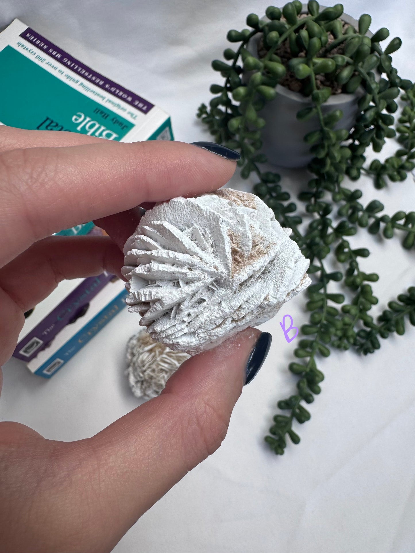 Desert Rose Selenite