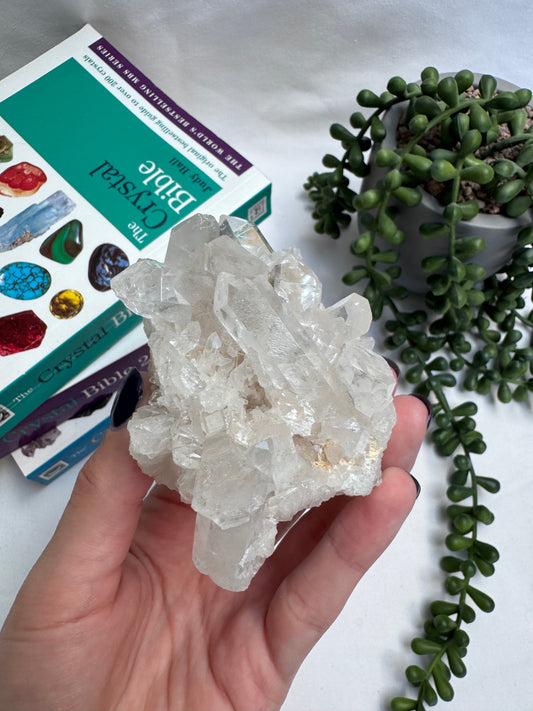 Clear Quartz Cluster