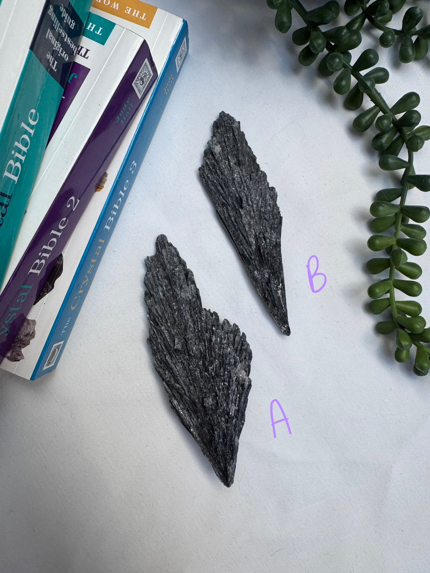 Black Kyanite Blades