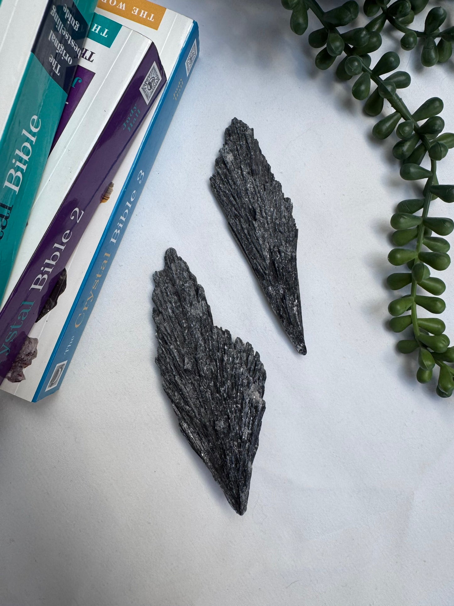 Black Kyanite Blades