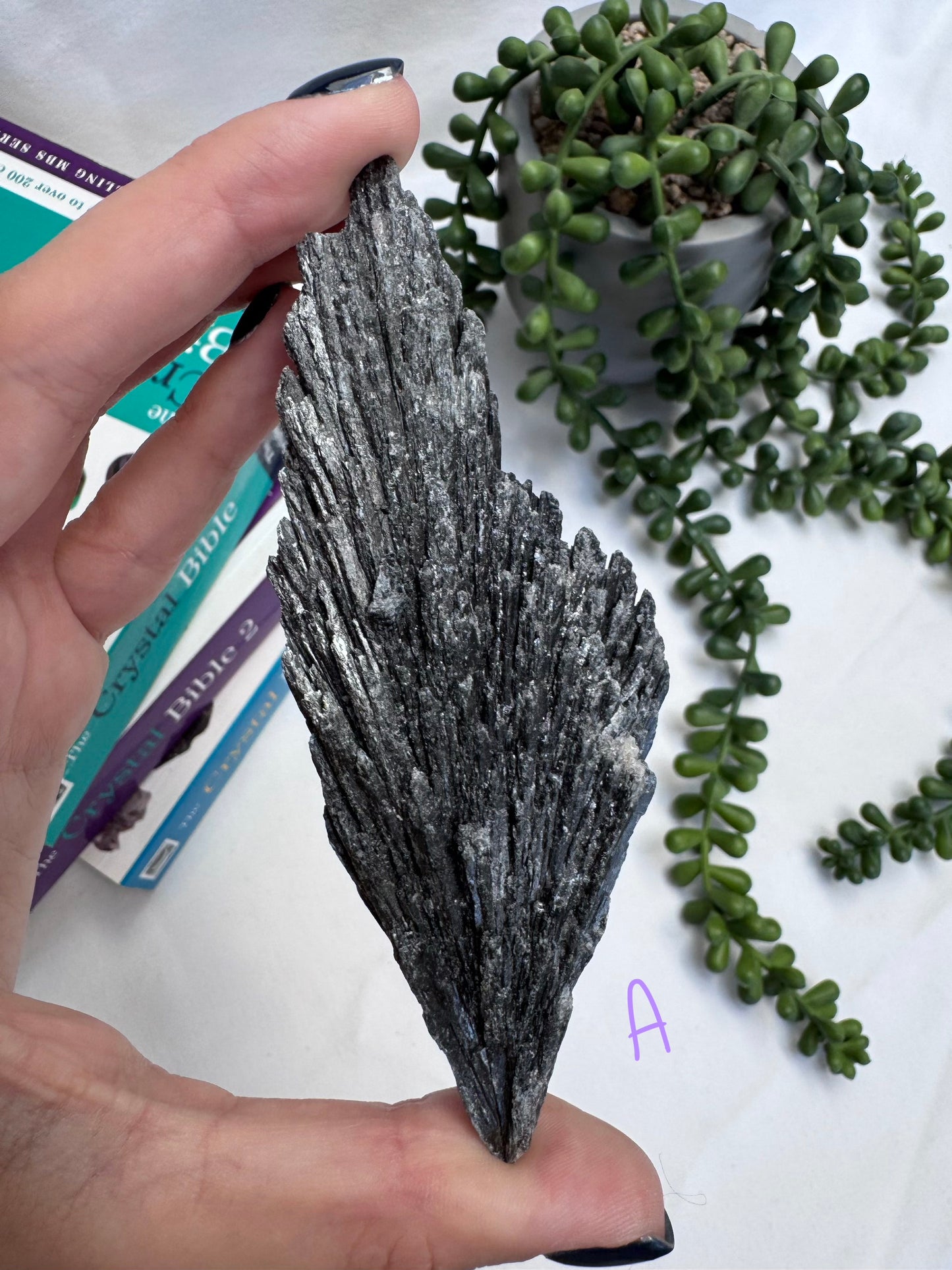 Black Kyanite Blades