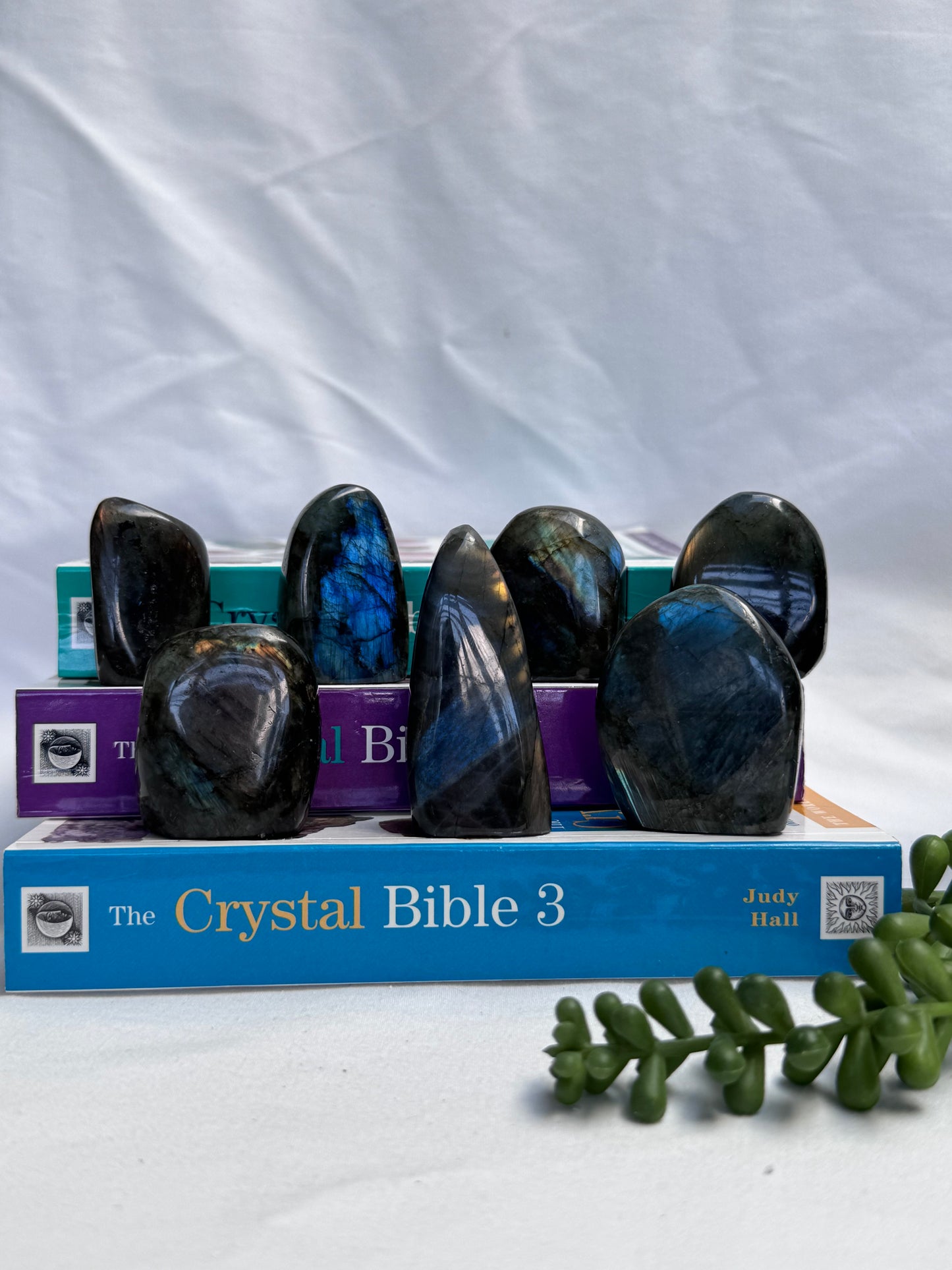 Small Labradorite Freeforms