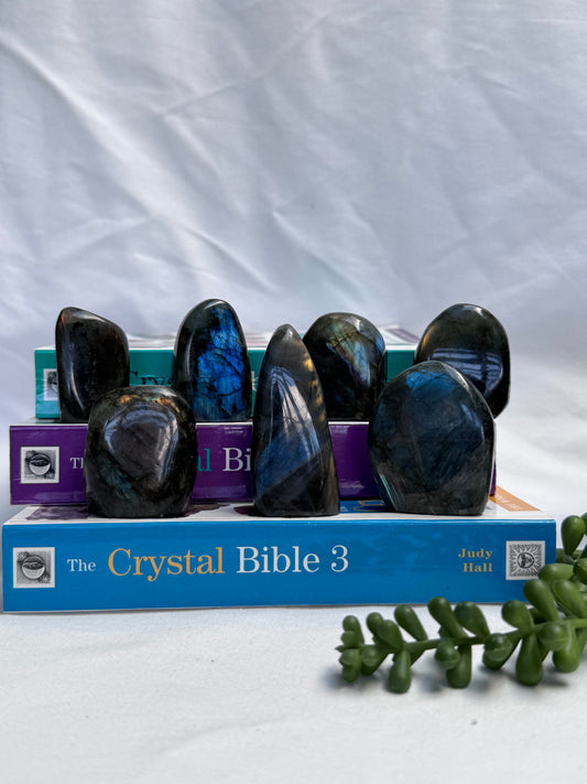 Small Labradorite Freeforms