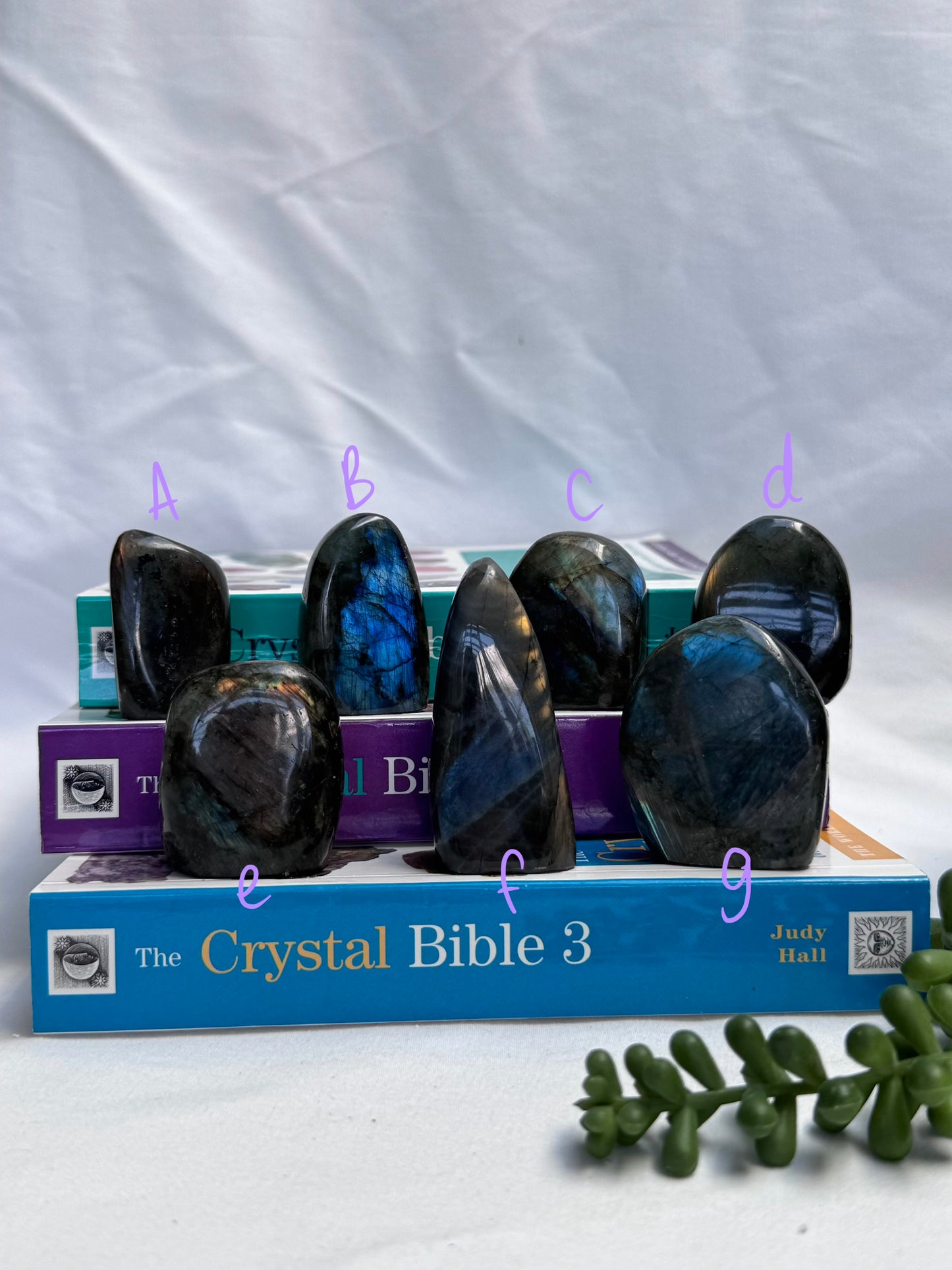 Small Labradorite Freeforms