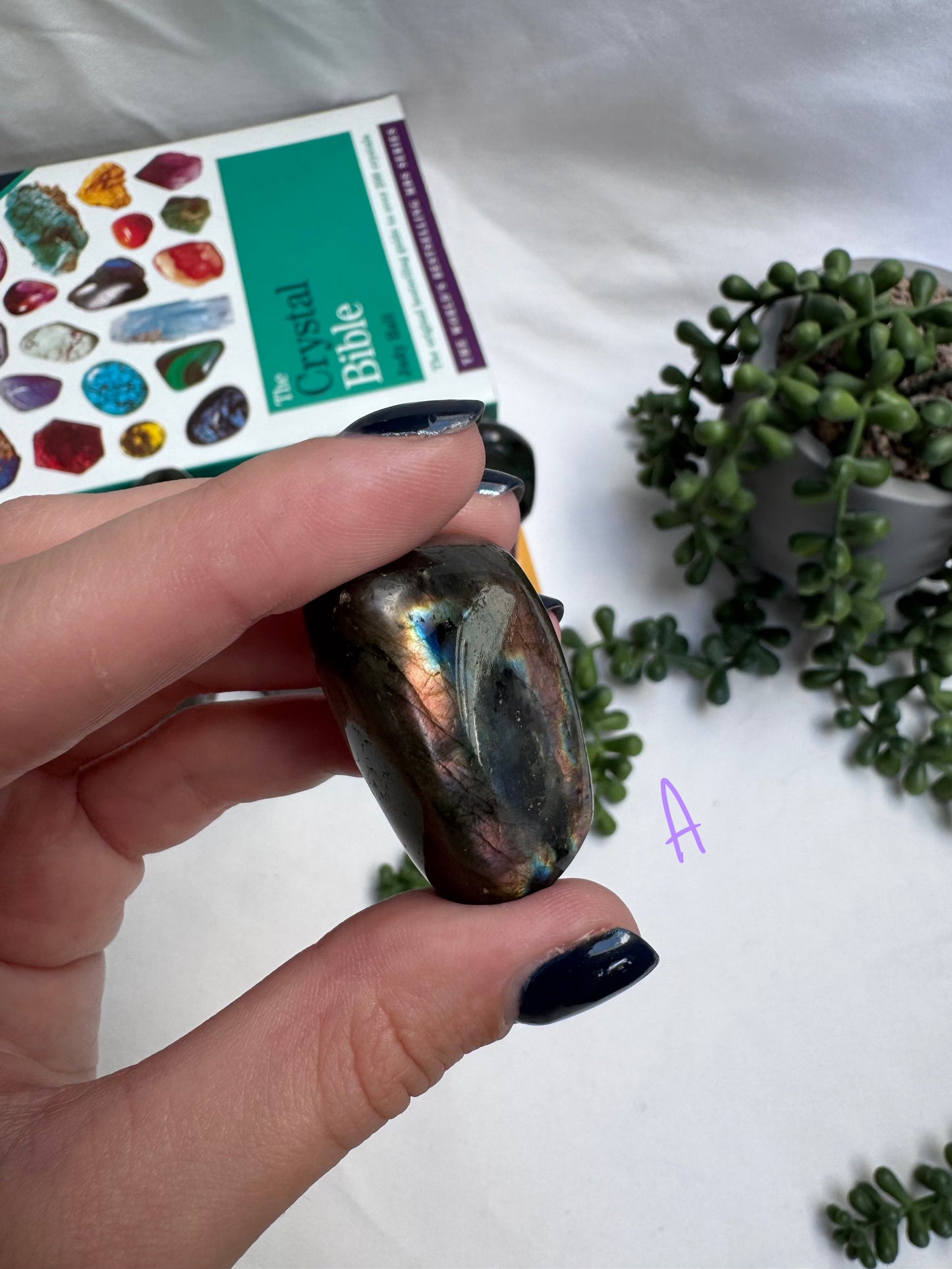 Small Labradorite Freeforms
