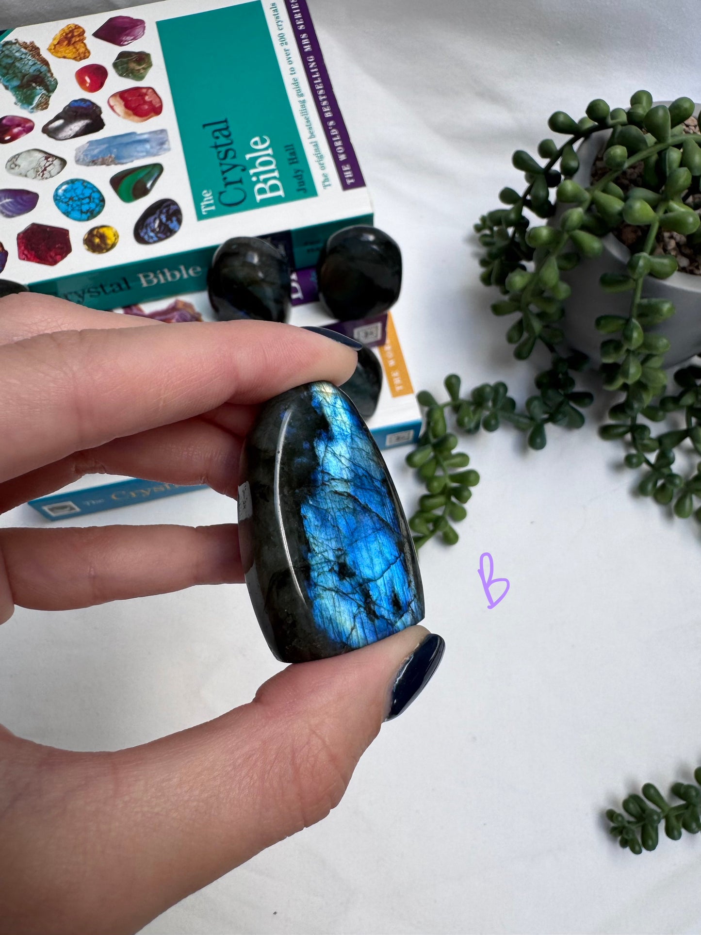 Small Labradorite Freeforms