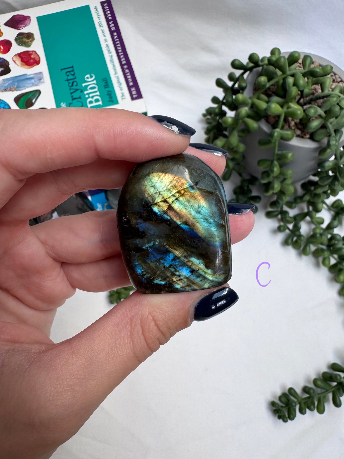 Small Labradorite Freeforms