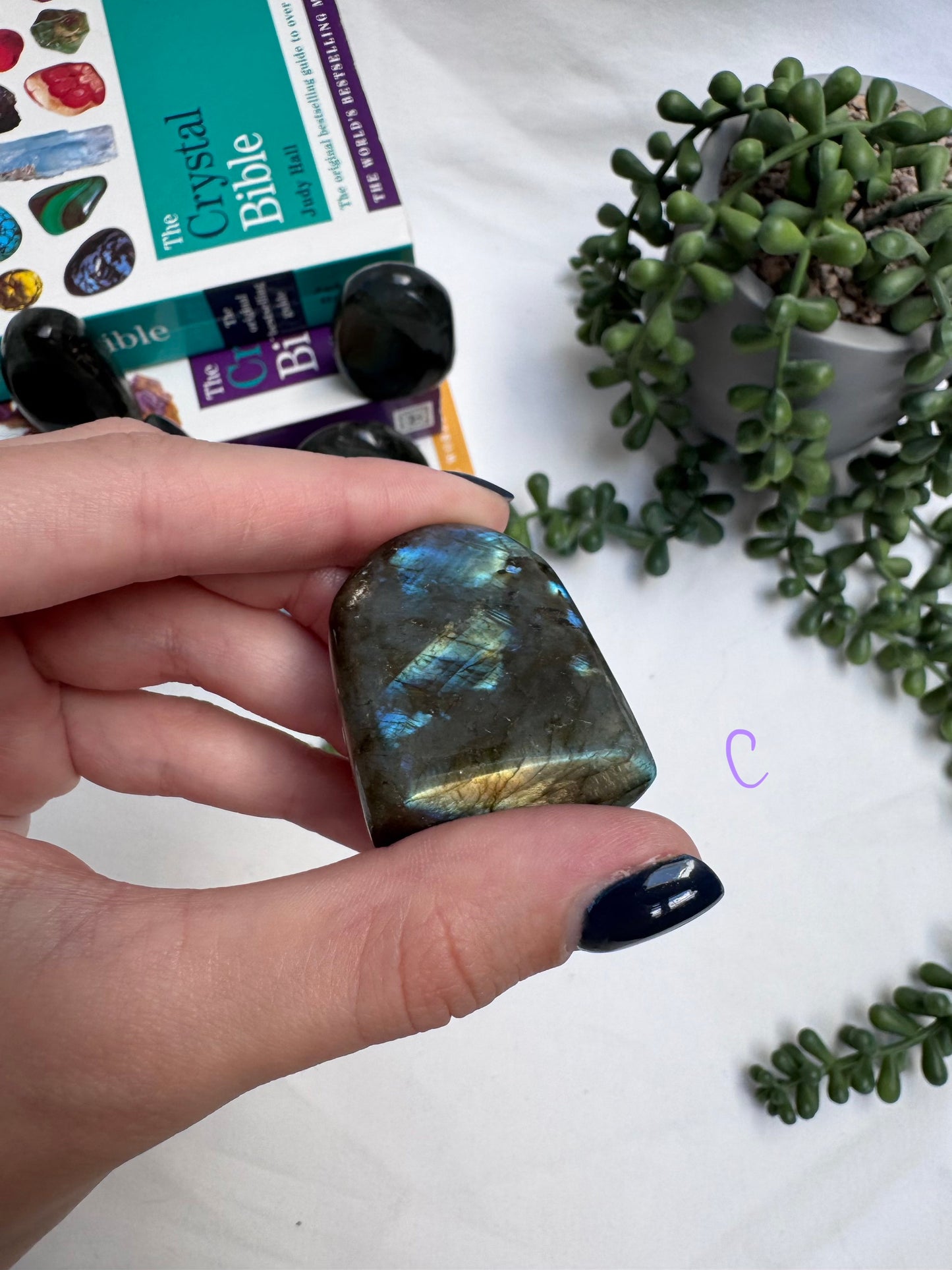 Small Labradorite Freeforms
