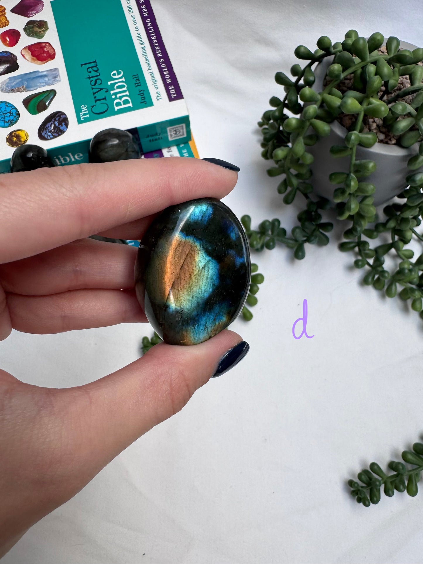 Small Labradorite Freeforms