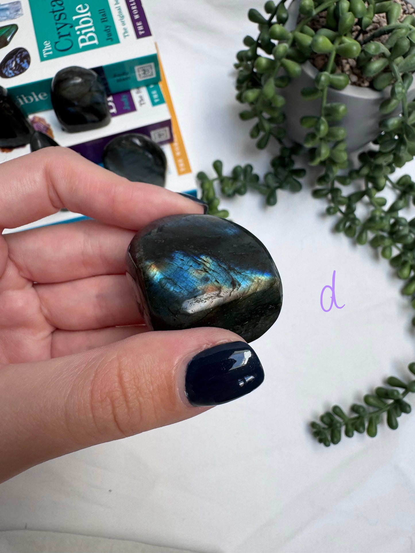 Small Labradorite Freeforms