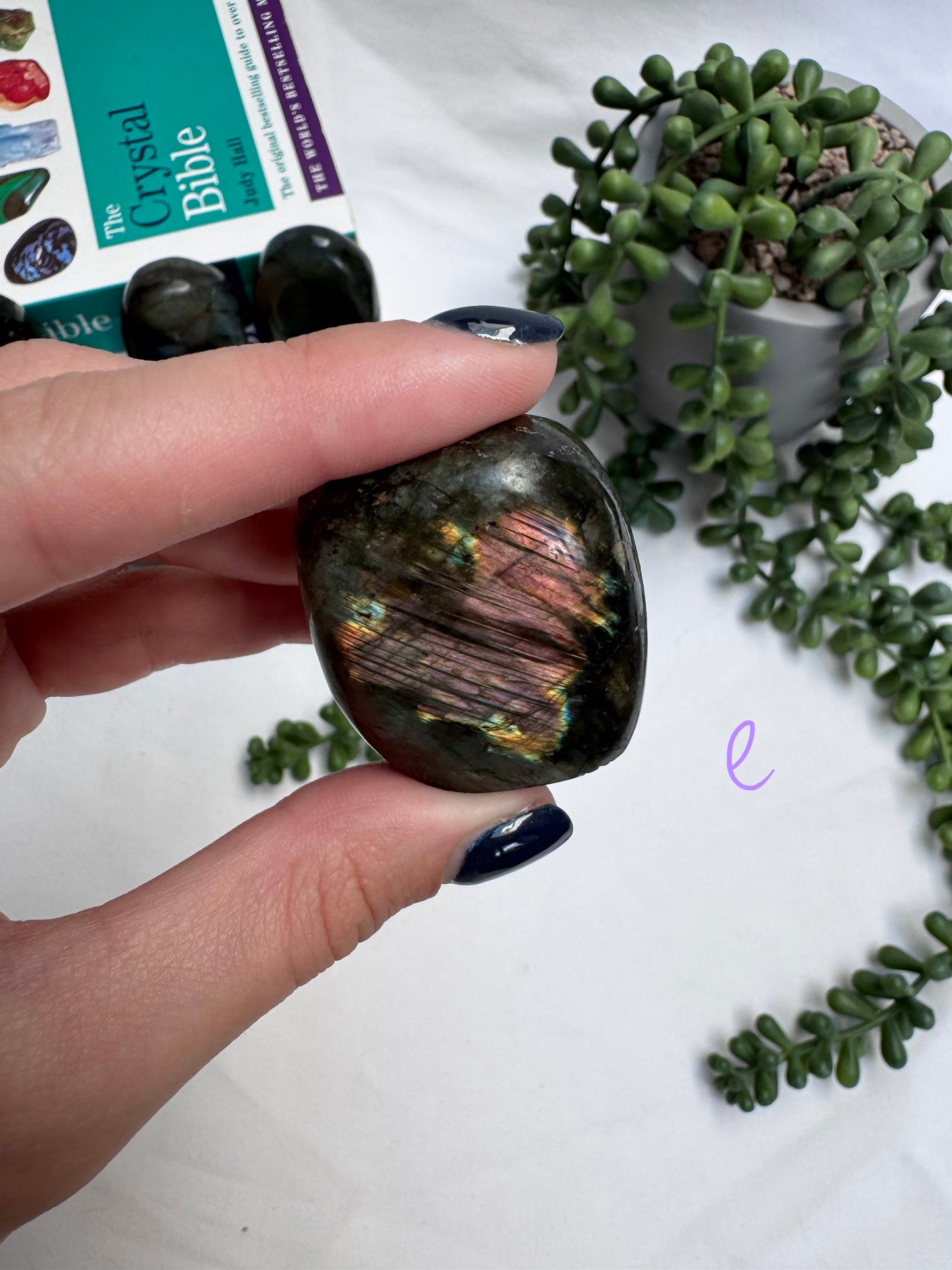 Small Labradorite Freeforms