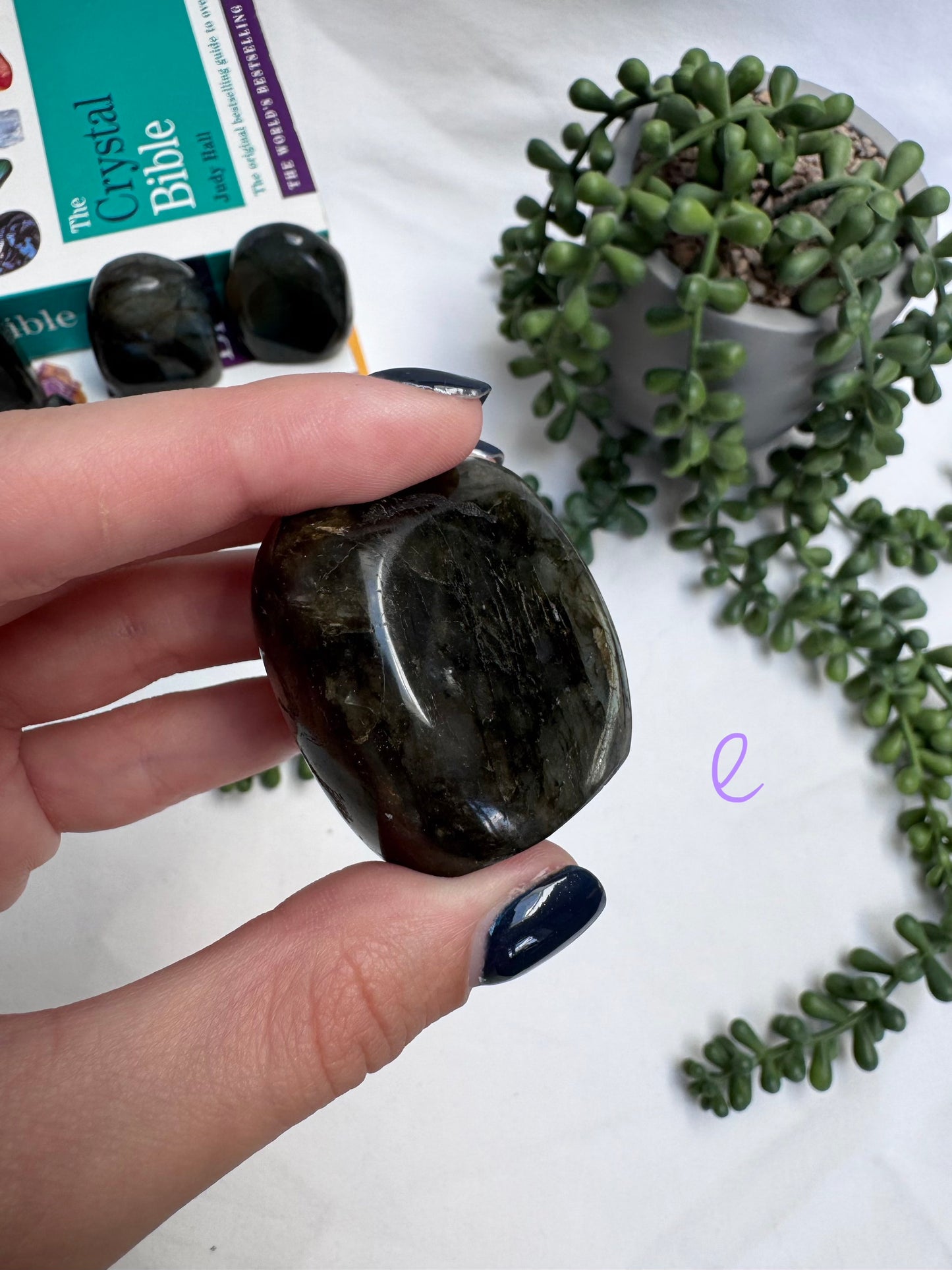 Small Labradorite Freeforms