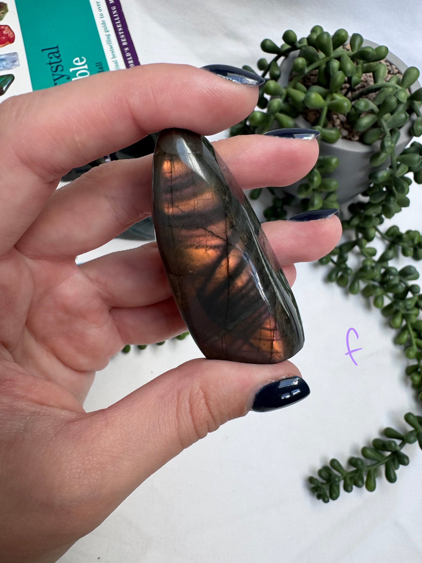 Small Labradorite Freeforms
