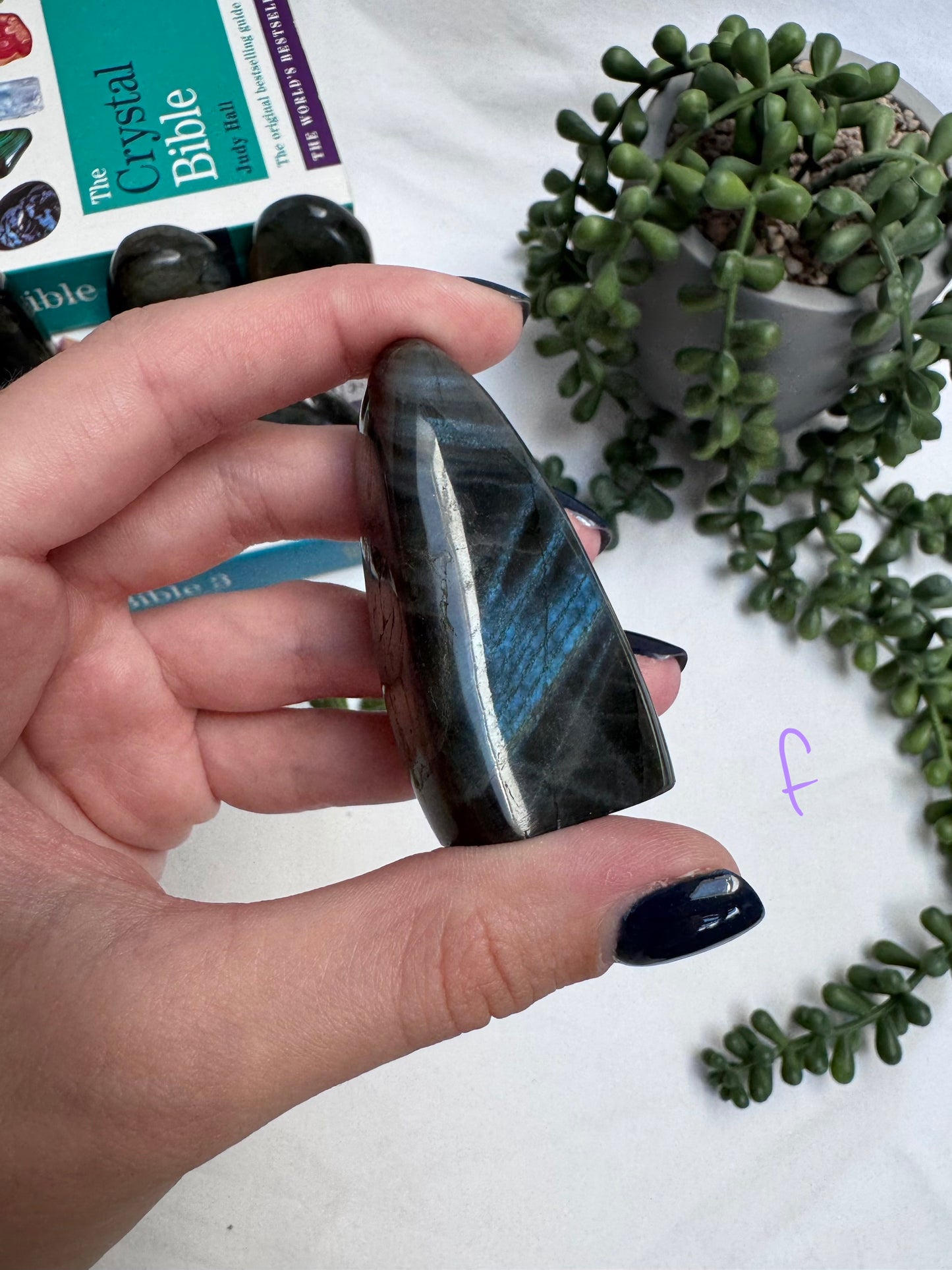 Small Labradorite Freeforms