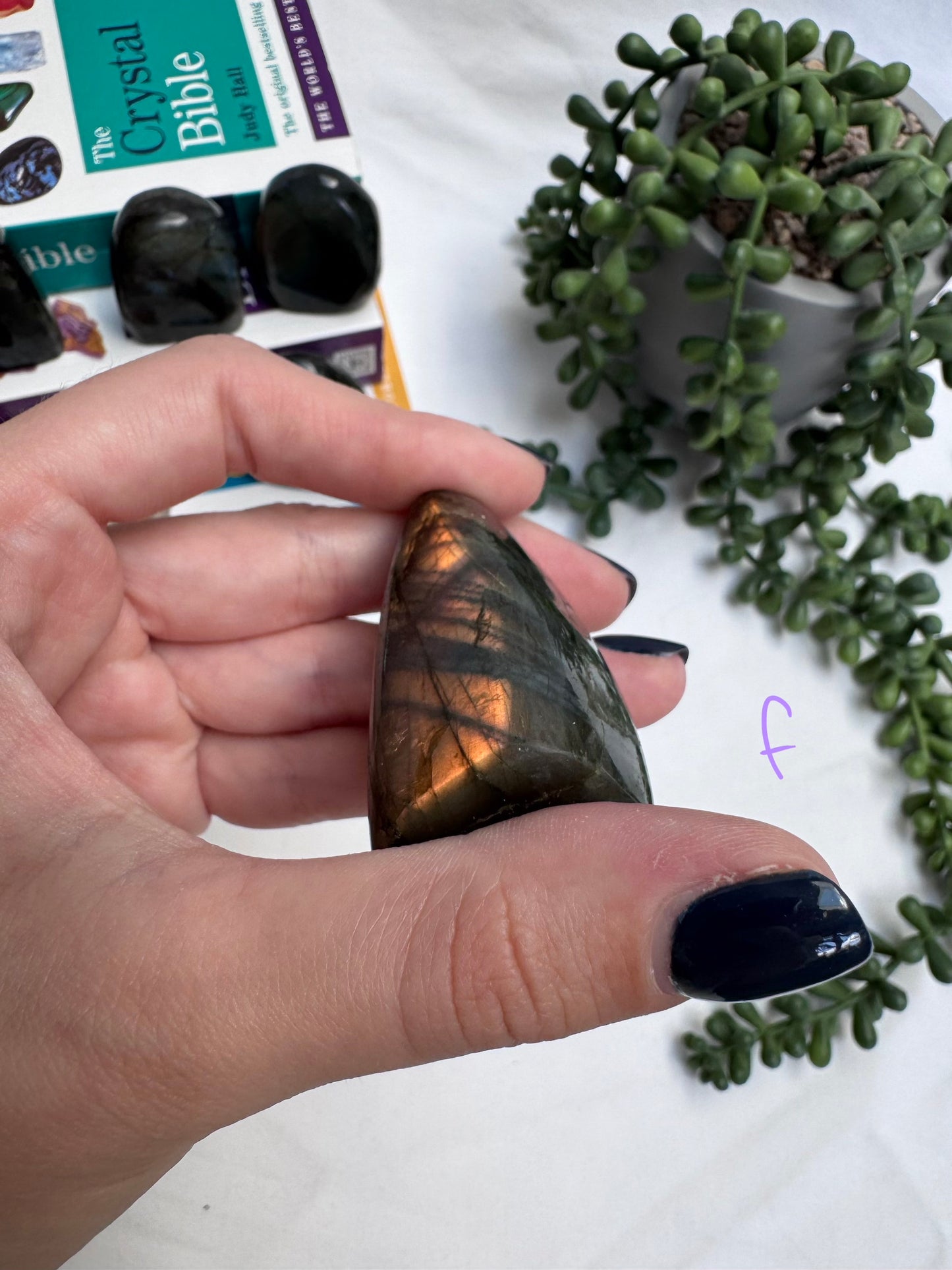 Small Labradorite Freeforms