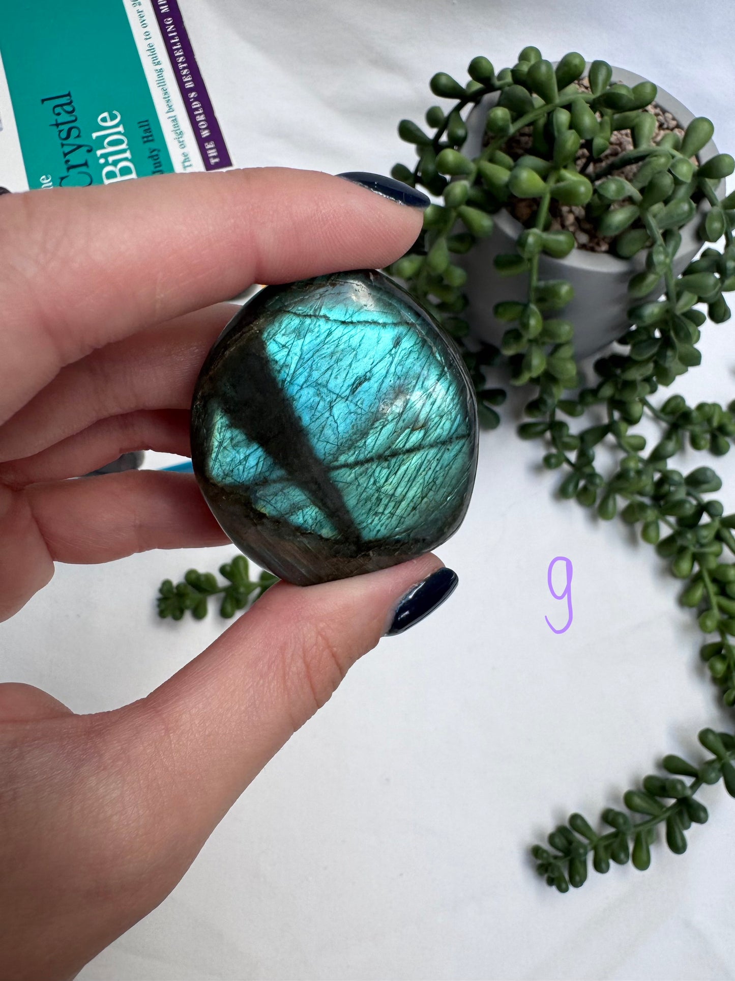 Small Labradorite Freeforms