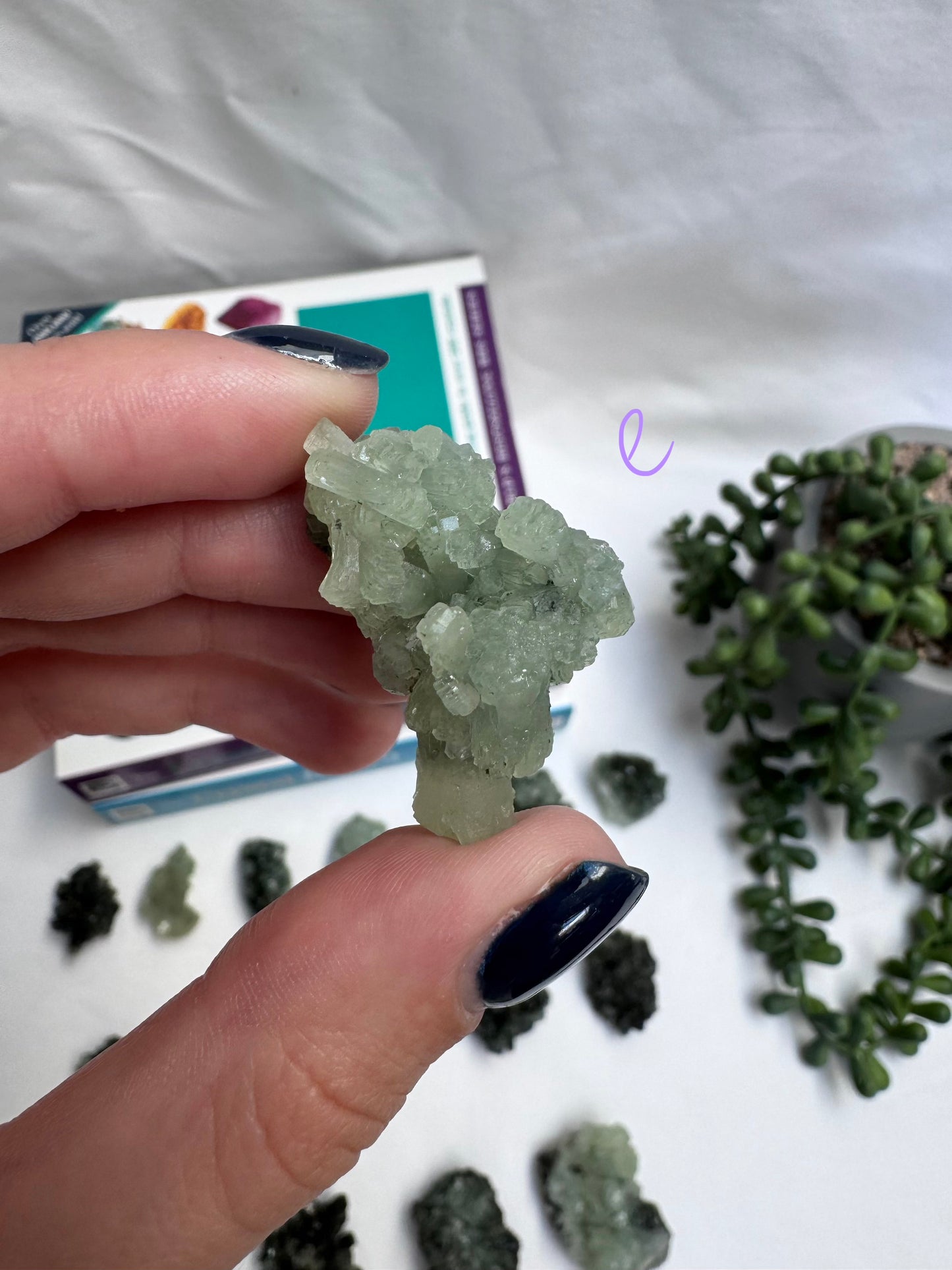 Prehnite Clusters