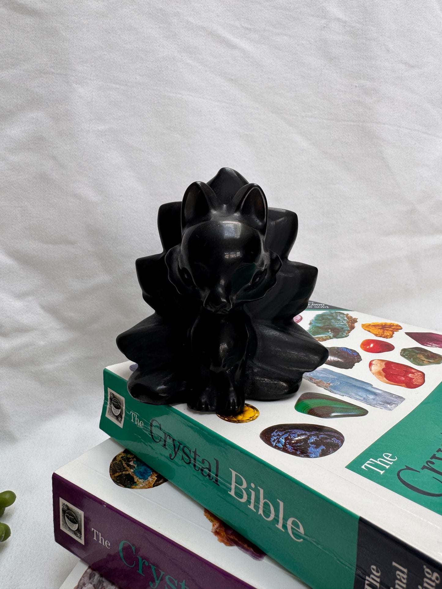 Black Obsidian Fox