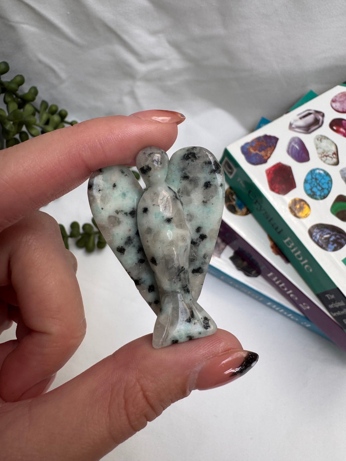 Kiwi Jasper Angel