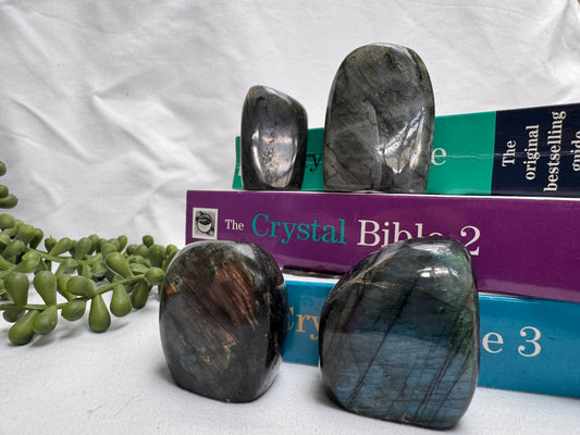 Small Labradorite Freeforms