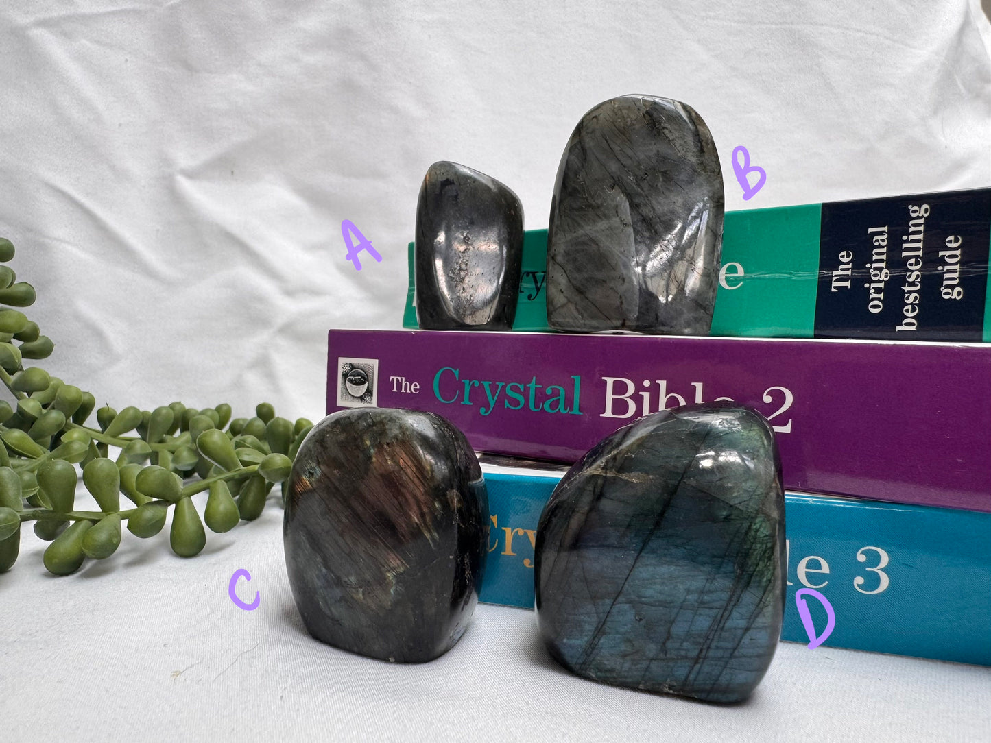 Small Labradorite Freeforms