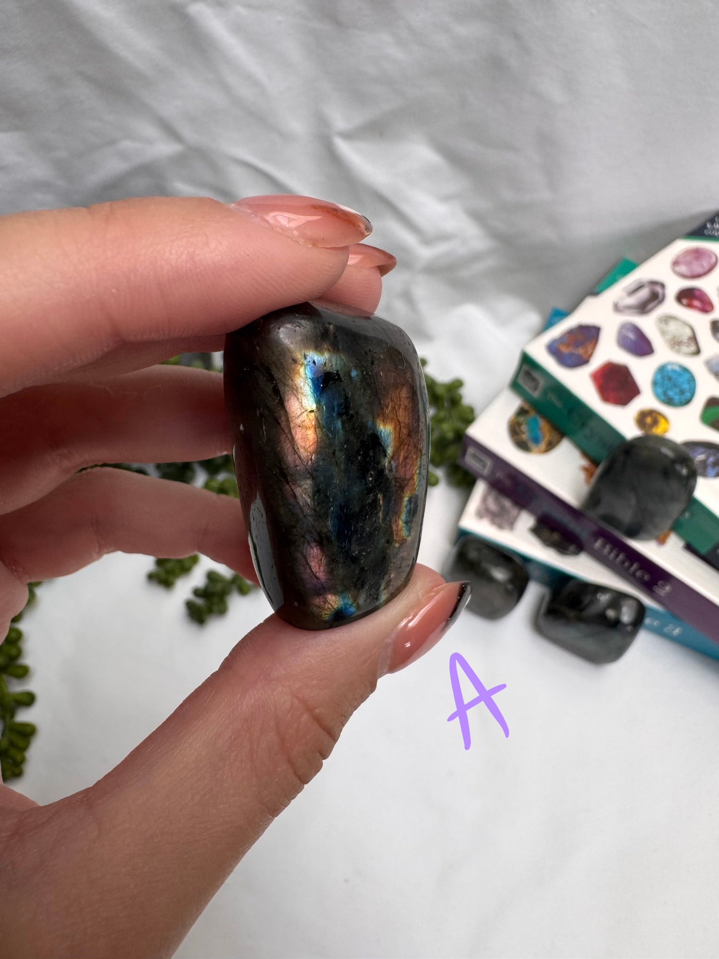 Small Labradorite Freeforms