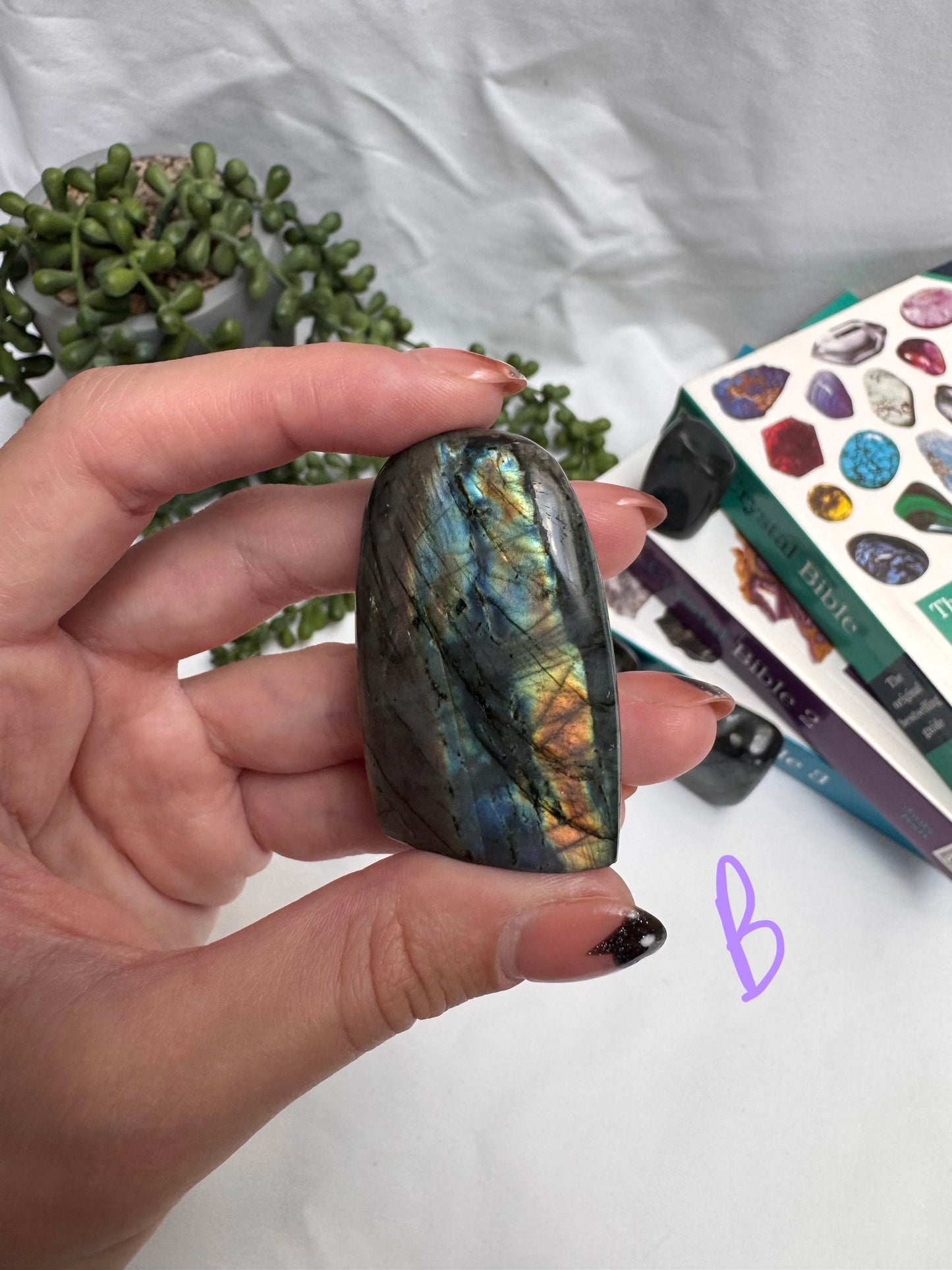 Small Labradorite Freeforms