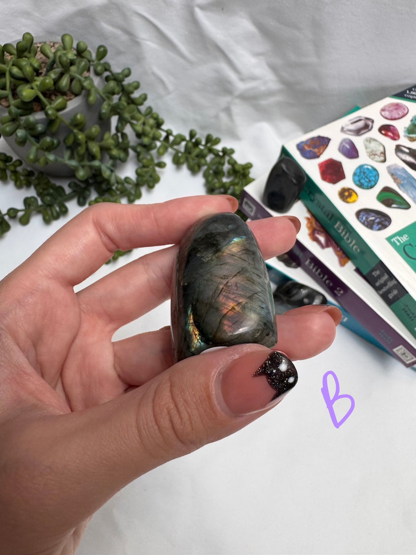 Small Labradorite Freeforms