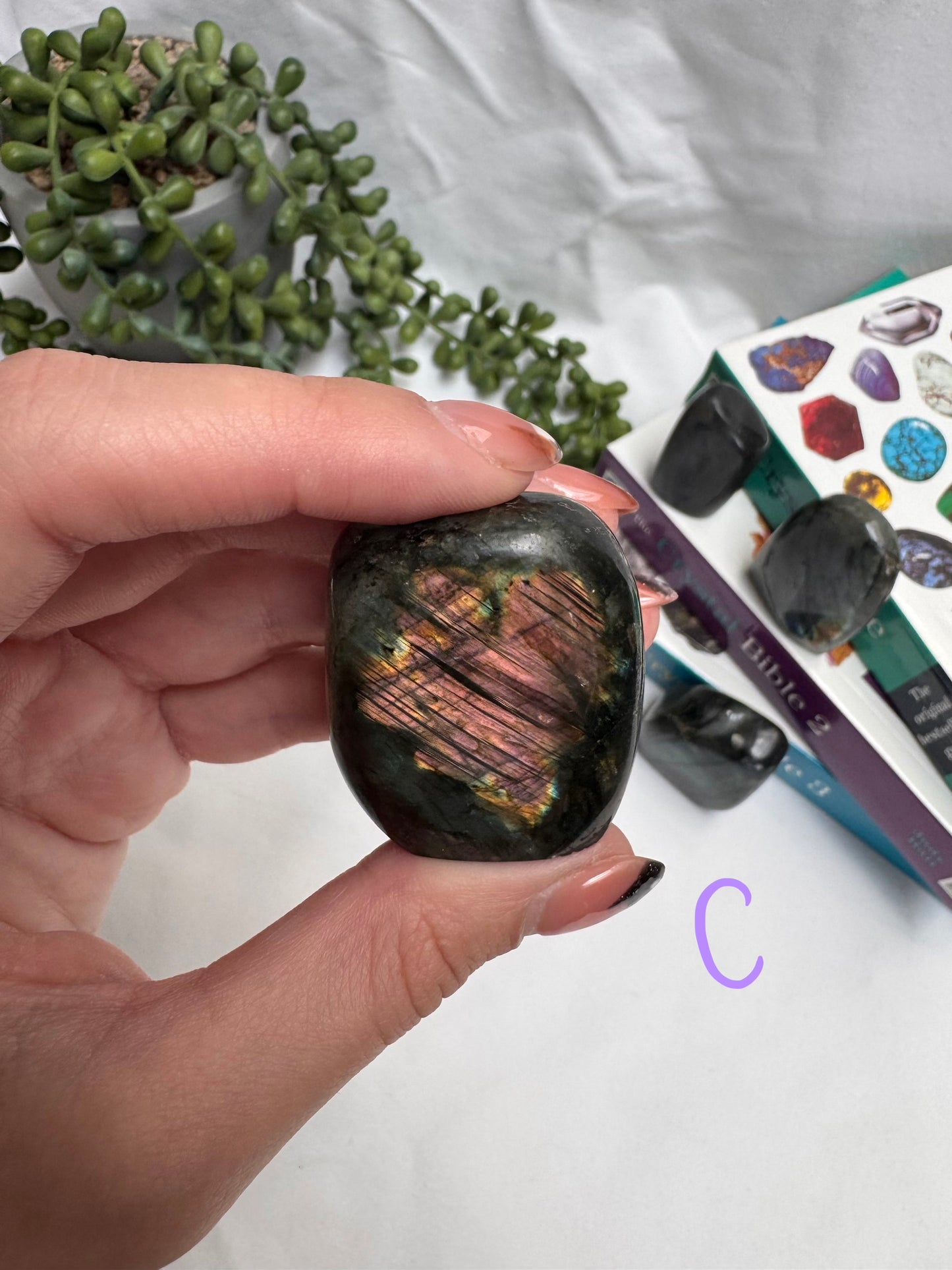 Small Labradorite Freeforms