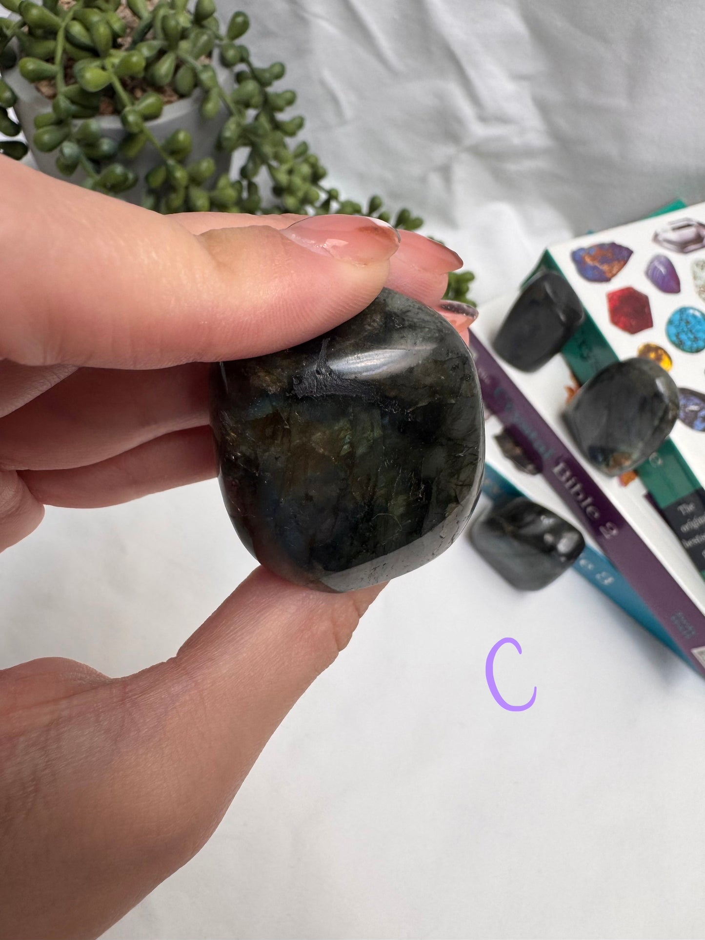 Small Labradorite Freeforms