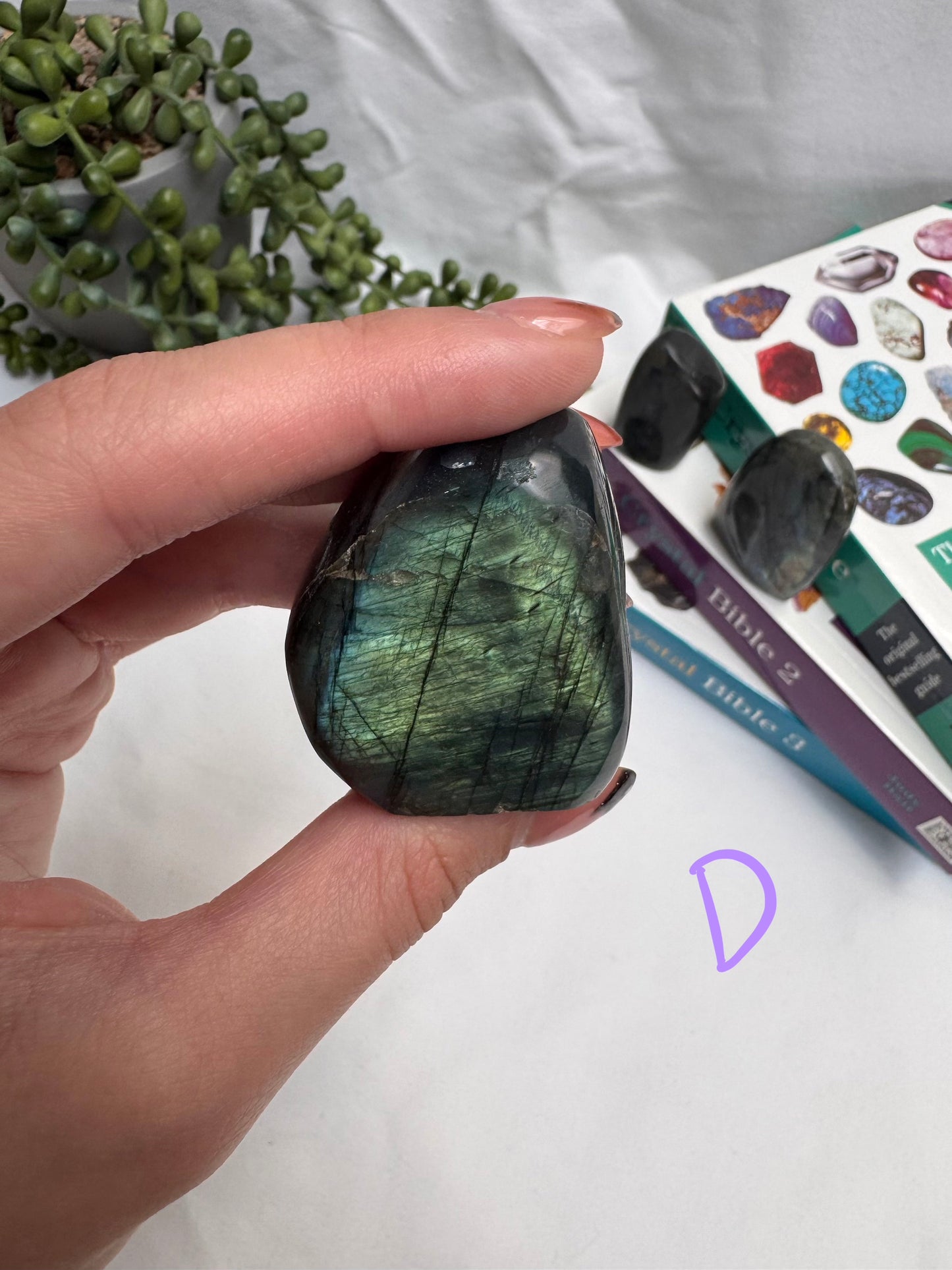 Small Labradorite Freeforms