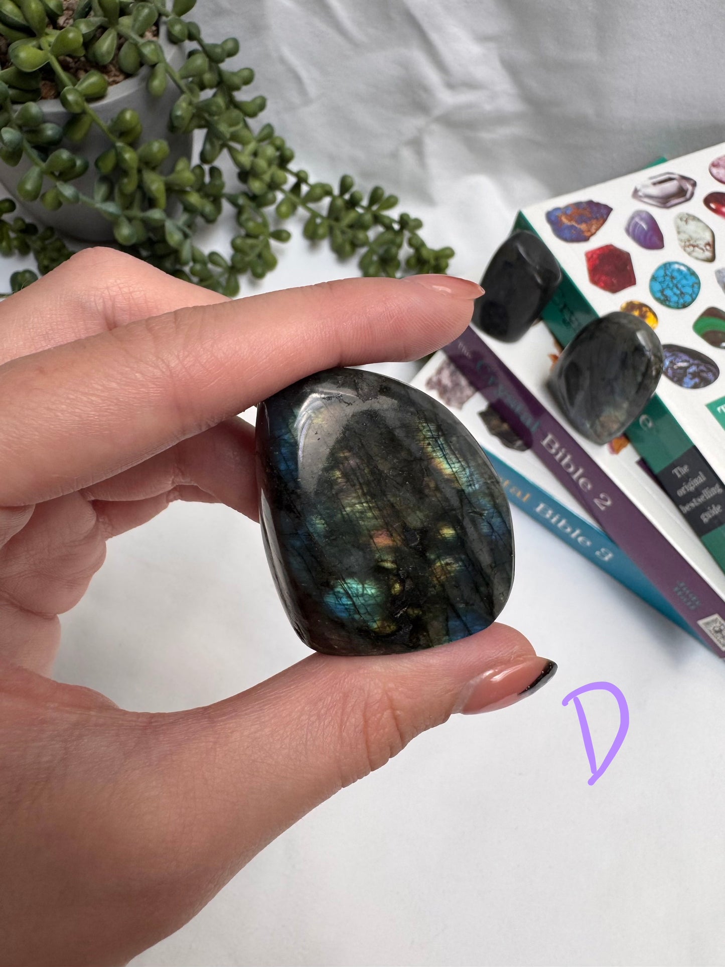Small Labradorite Freeforms