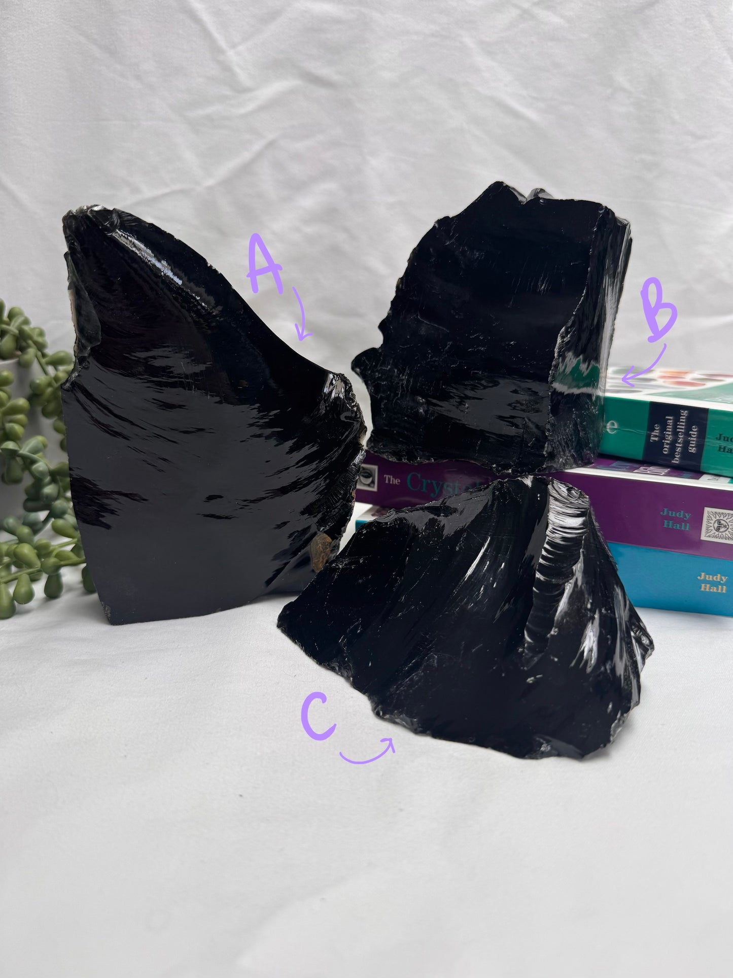 Raw Black Obsidian Freeforms
